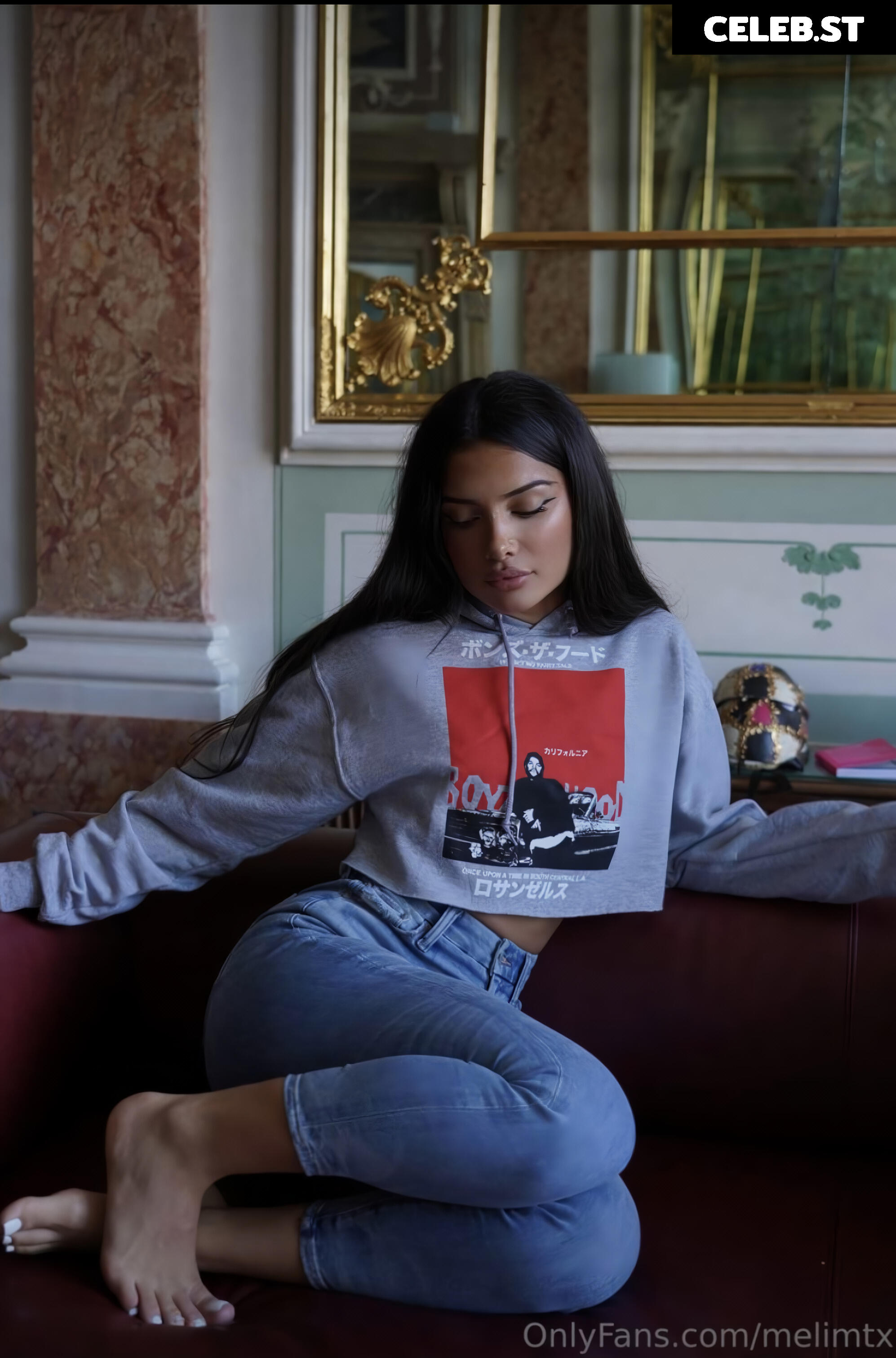 MelimTX Image 3311486