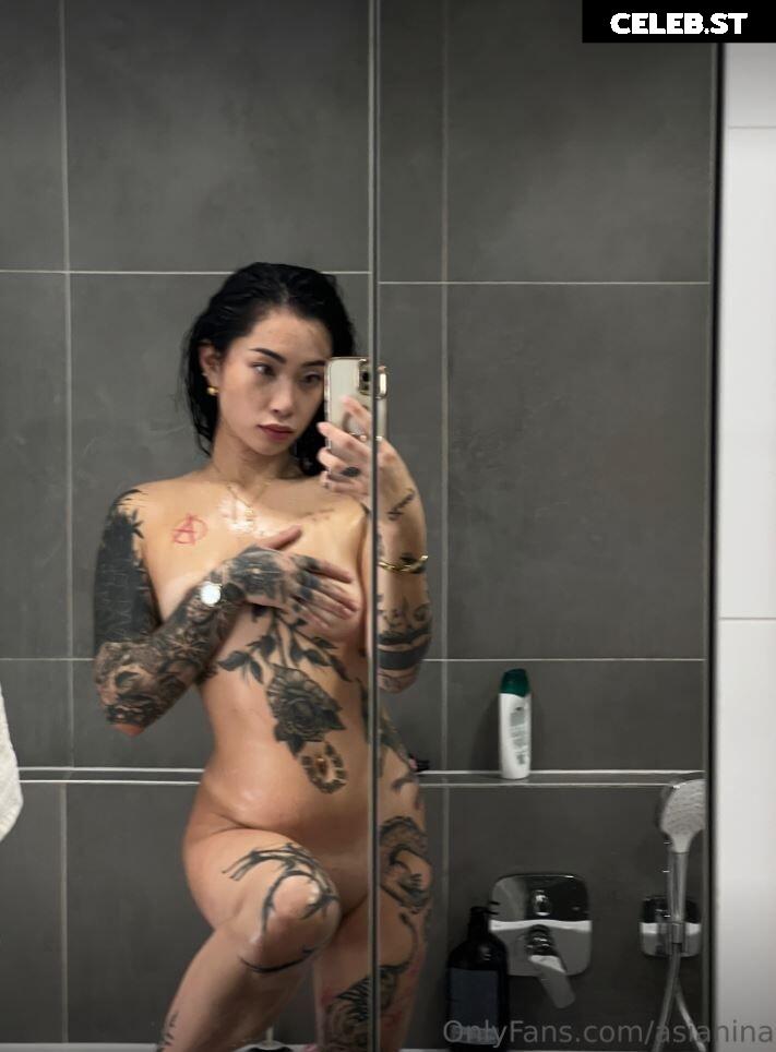 asianiina Image 3313002