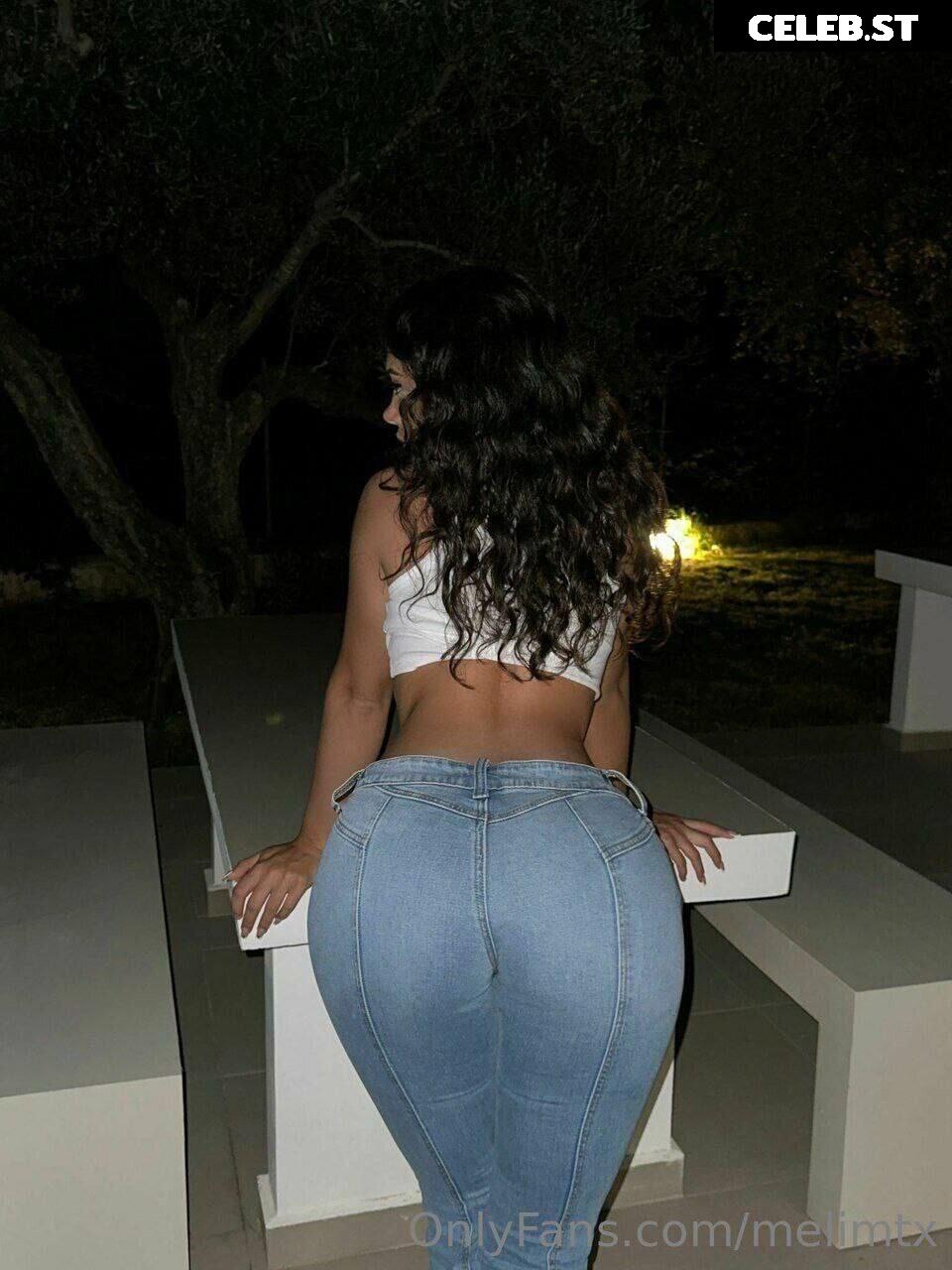 MelimTX Image 3313385