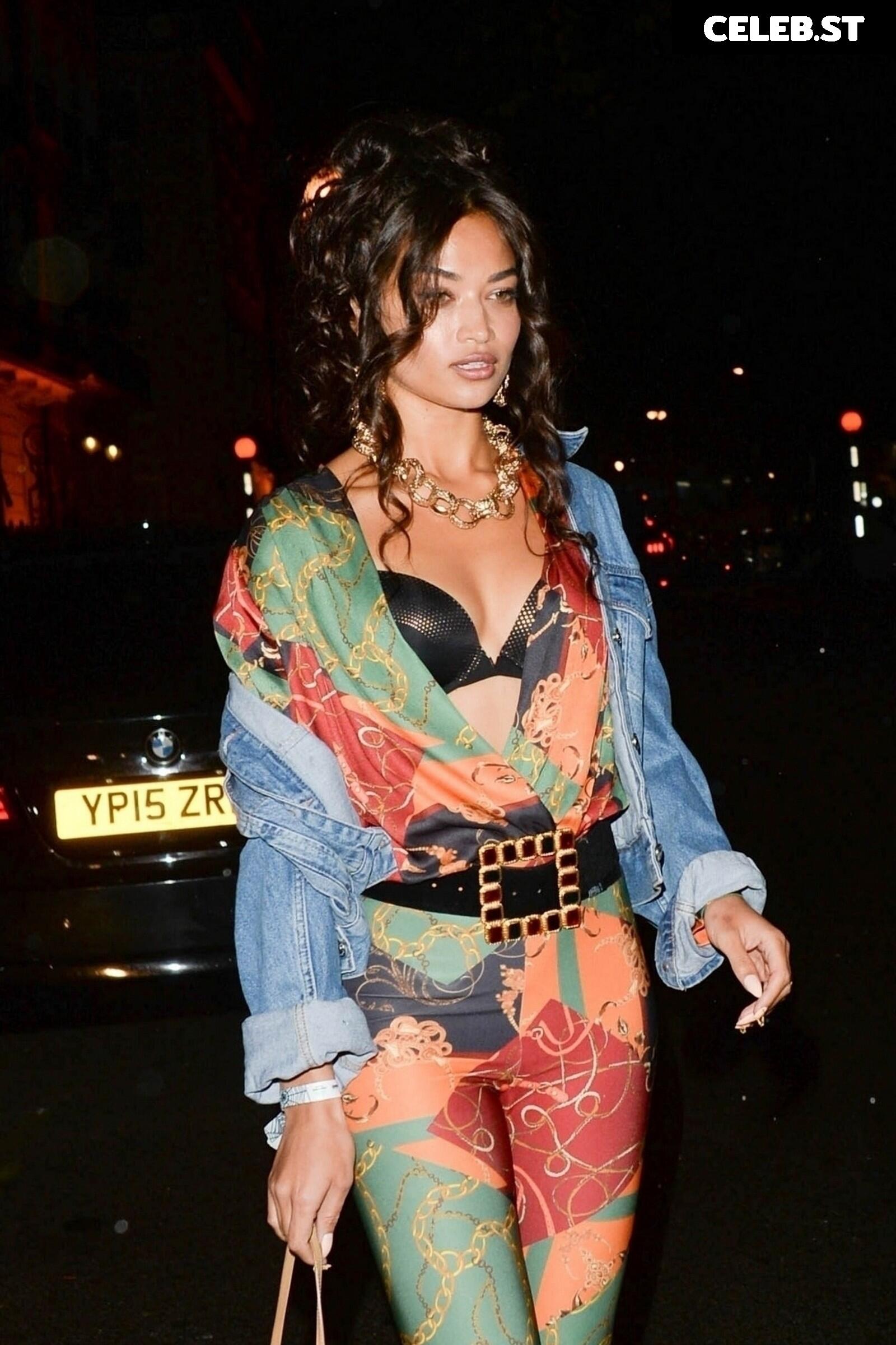 Shanina Shaik Image 3306699