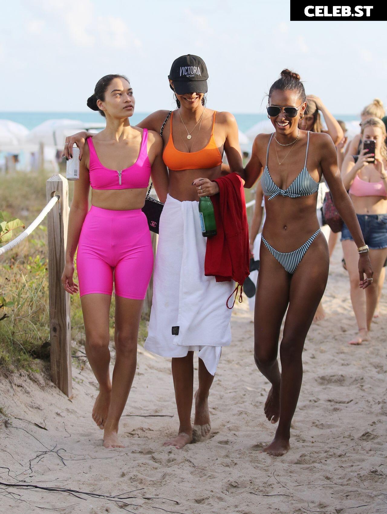 Shanina Shaik Image 3304934