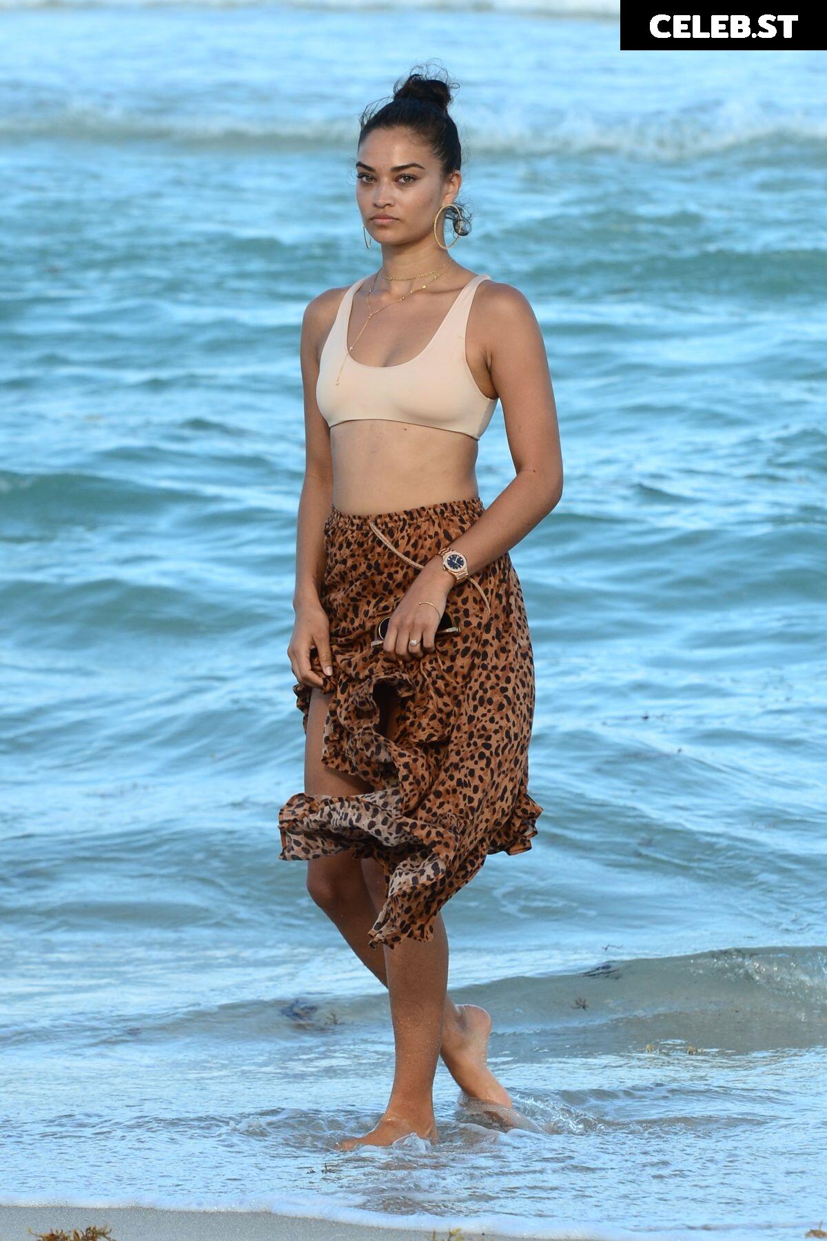 Shanina Shaik Image 3303161
