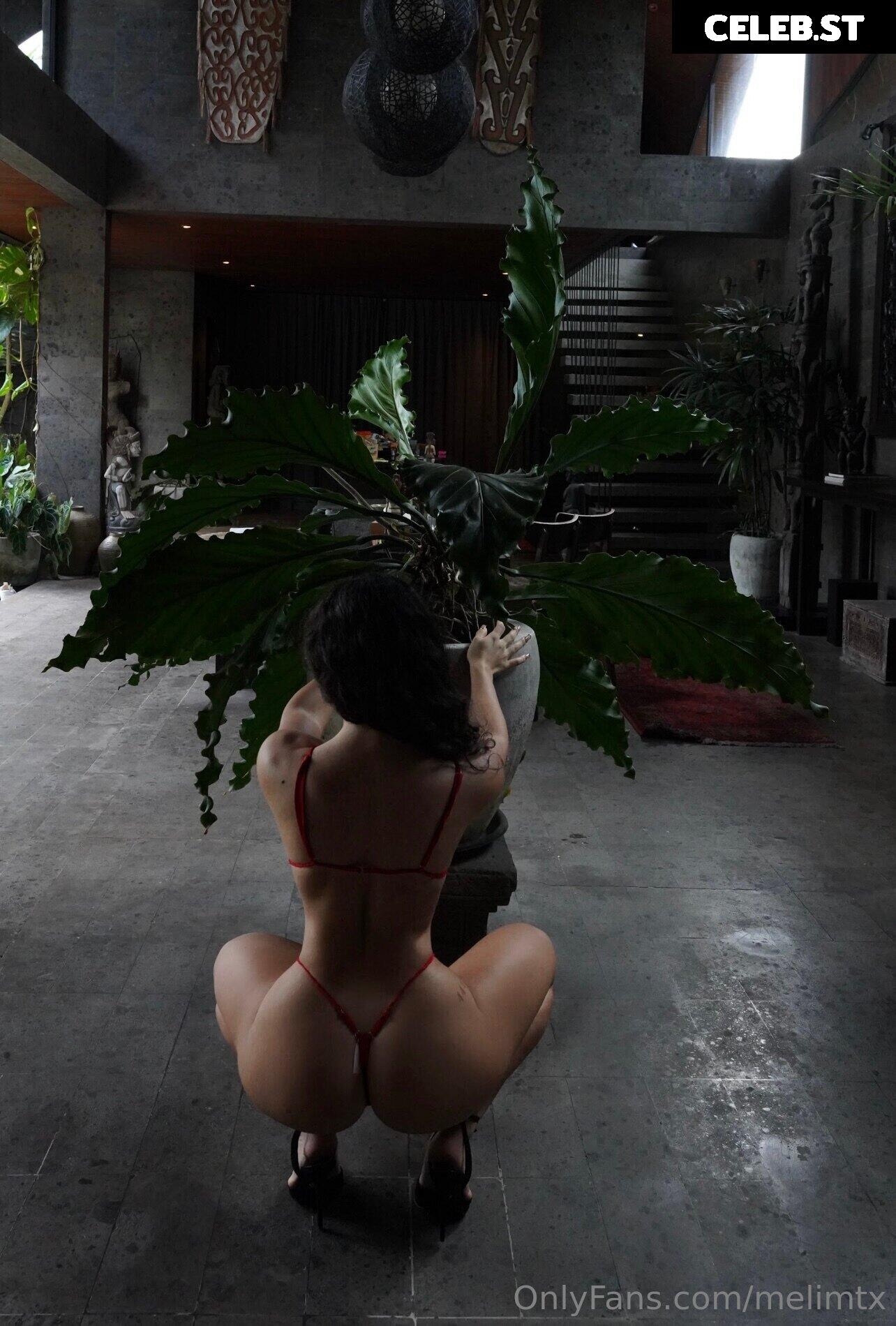 Melissa - Melimtx Image 3829843