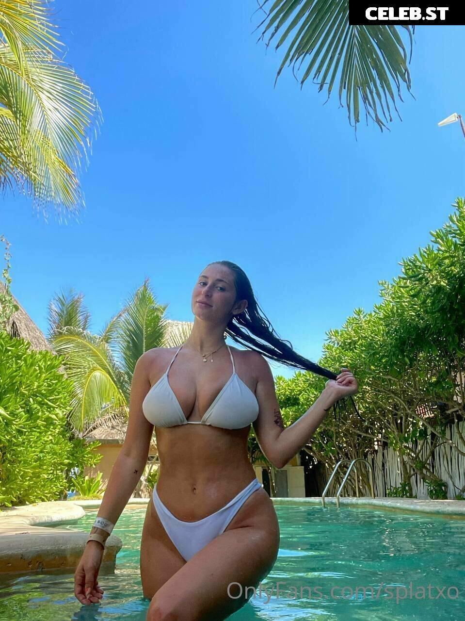 Splatxo Image 3804754