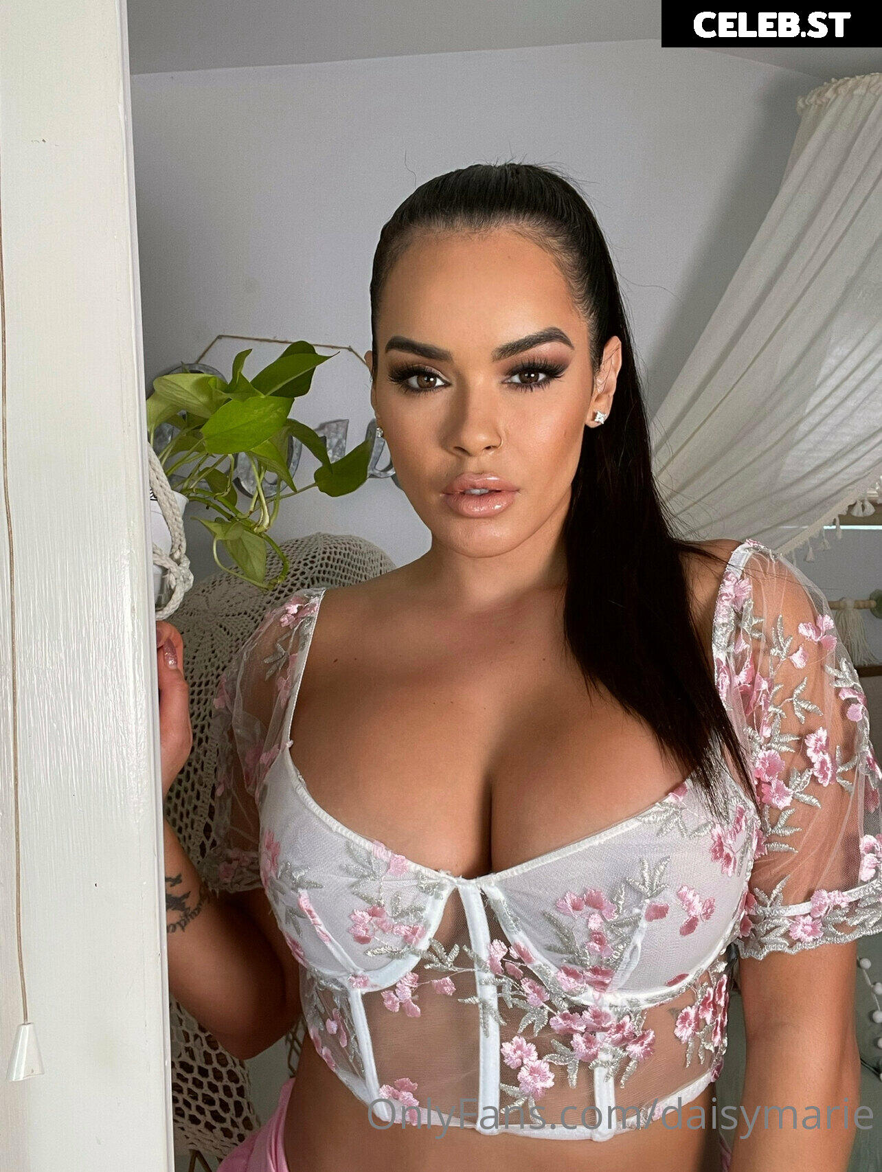 Daisy Marie Image 3809681