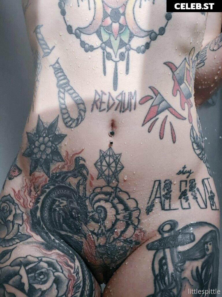 Little Spittle Image 397958