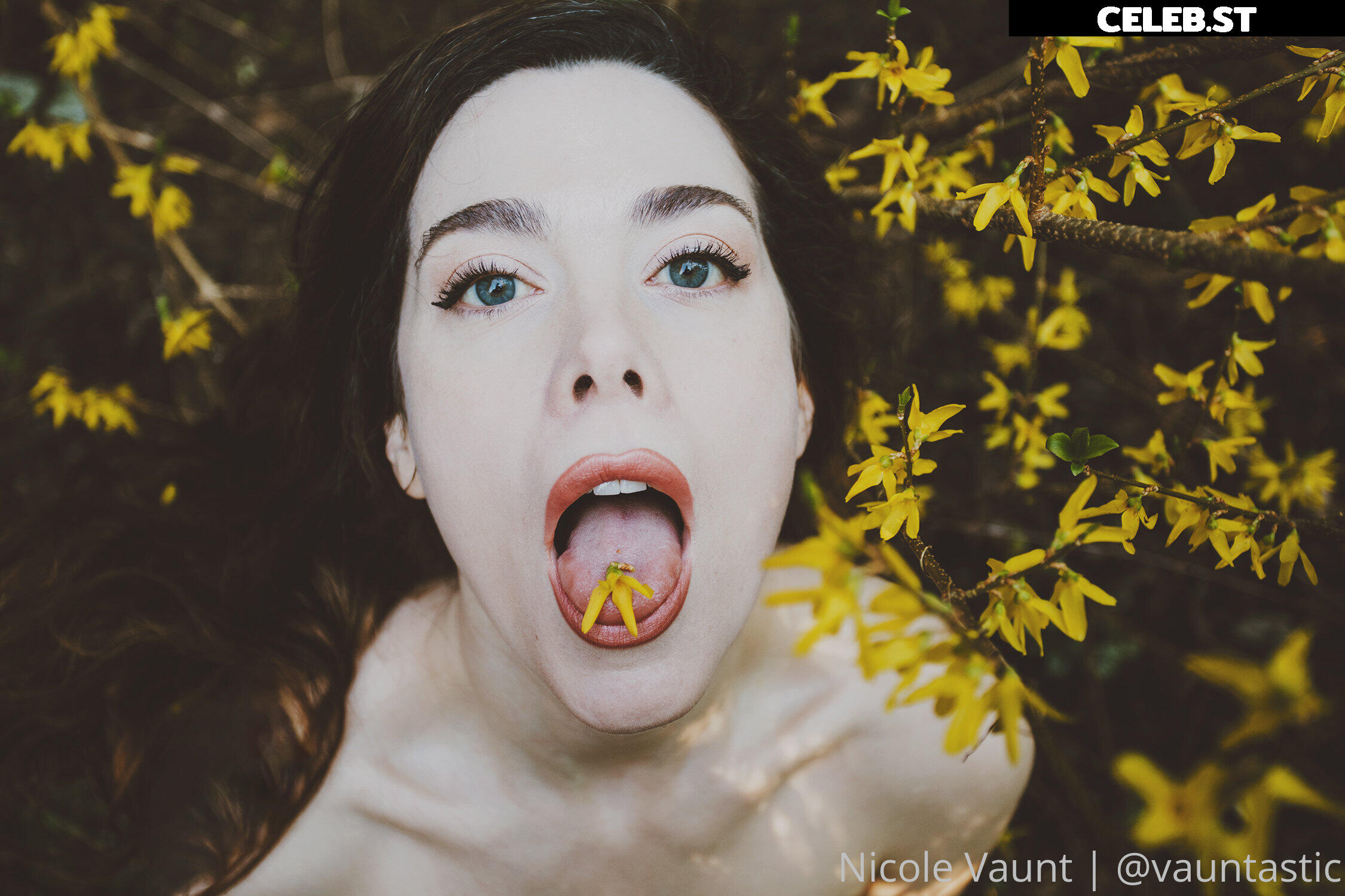 Nicole Vaunt | vauntastic Image 3961873