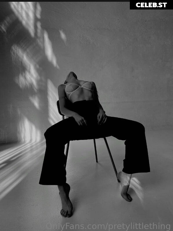 pretylittlething Image 3946502