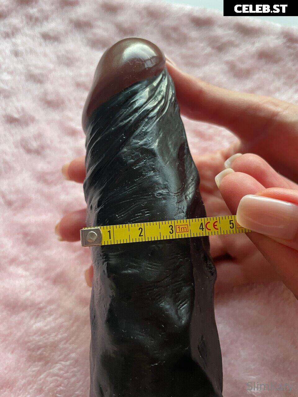 Slimkary Image 3927178