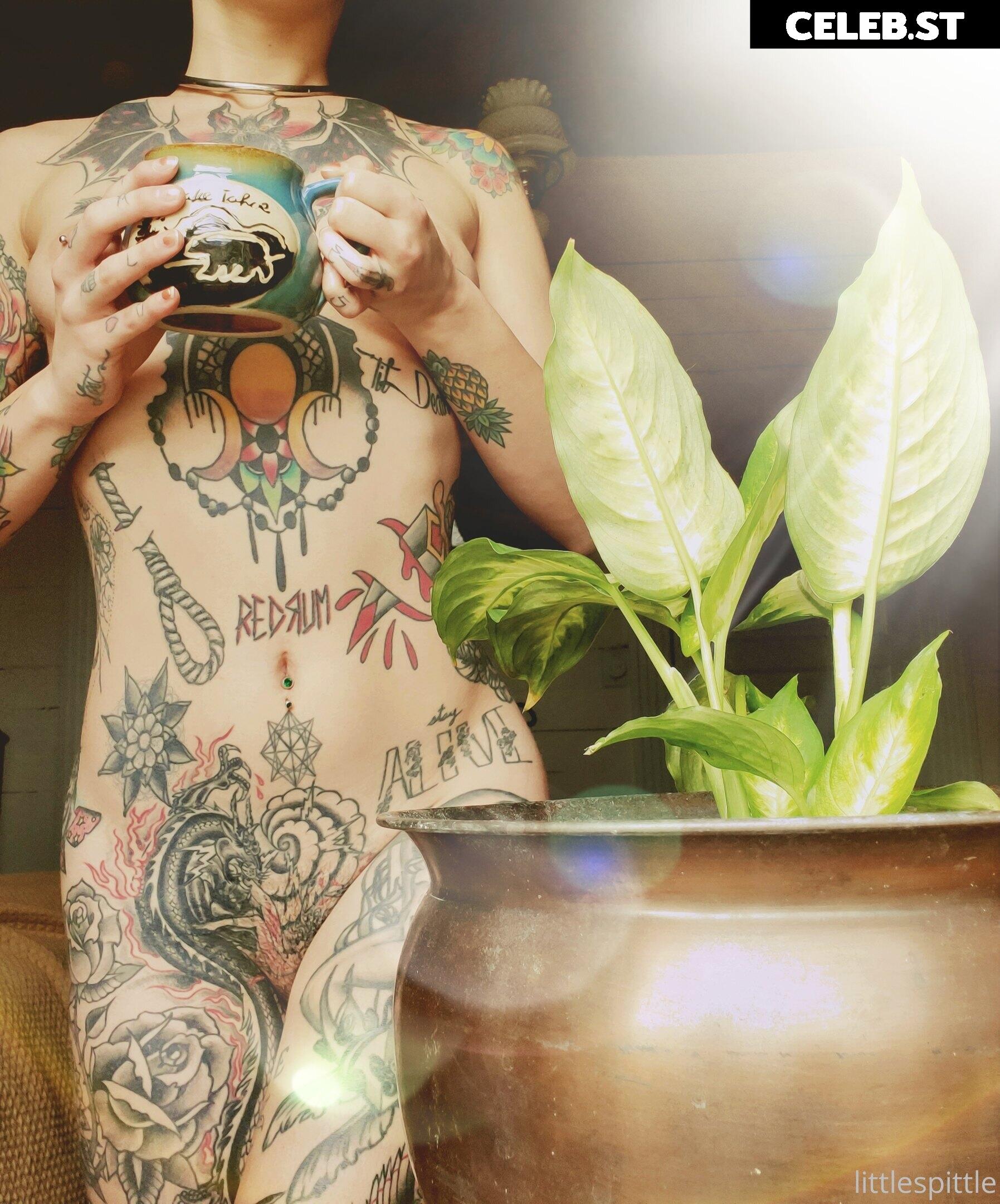 Little Spittle Image 392174