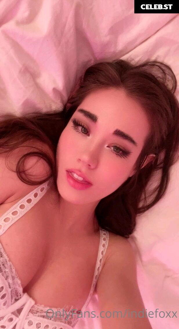 Indiefoxx / JenFoxx / jenfoxxxy / jenfoxxuwu / notjenfoxx Image 3922637
