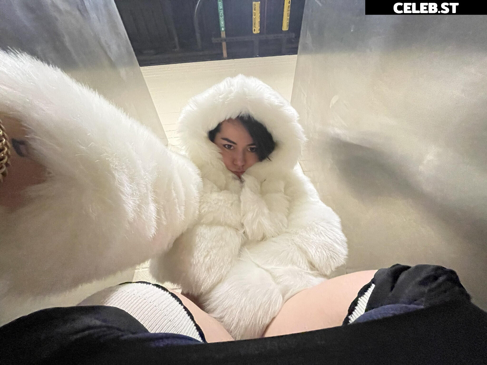 Beebinch Thredcount M4STIFF Image 3923541