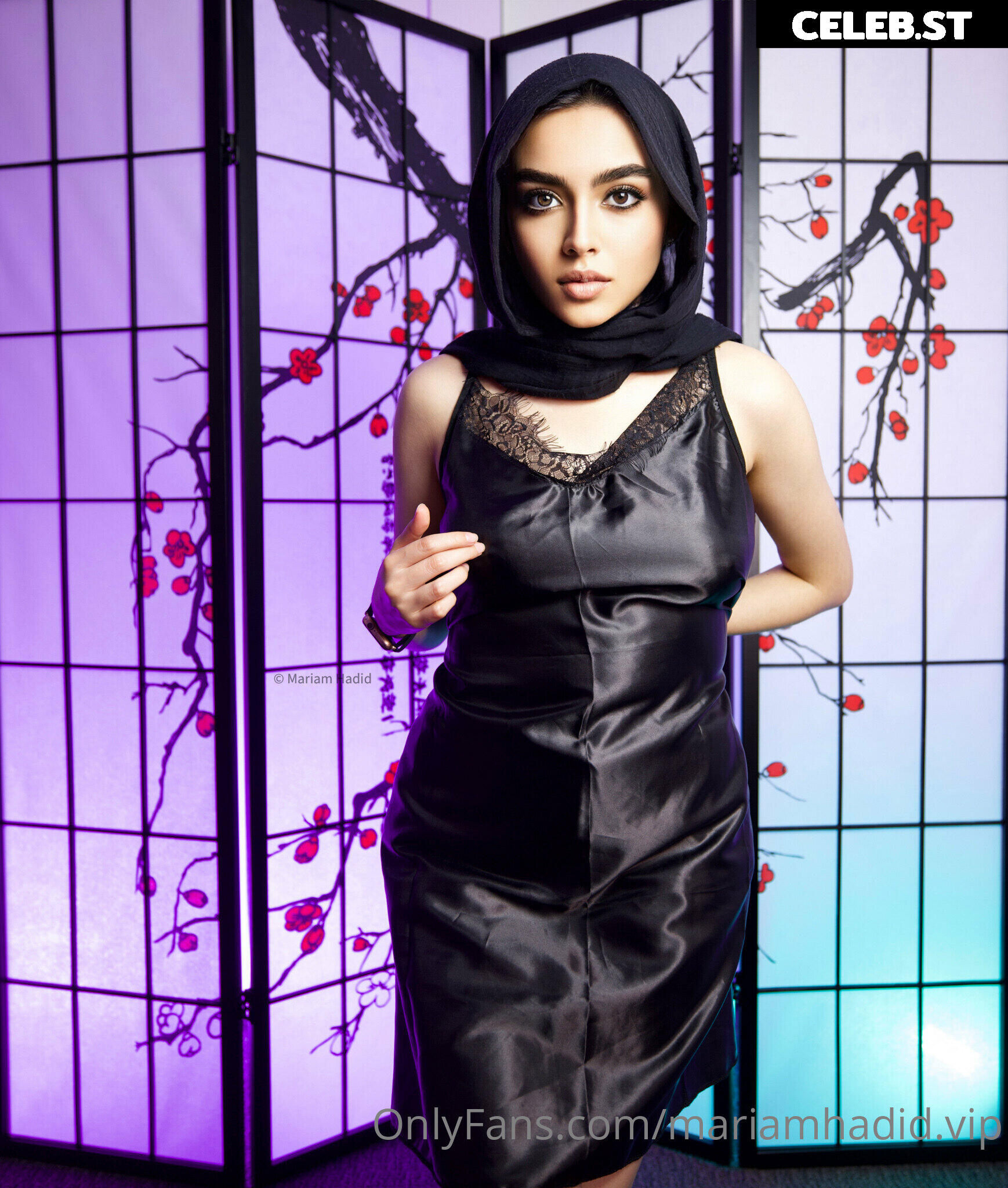 Mariam Hadid | mariamhadidvip | Zara Dar Image 3913753