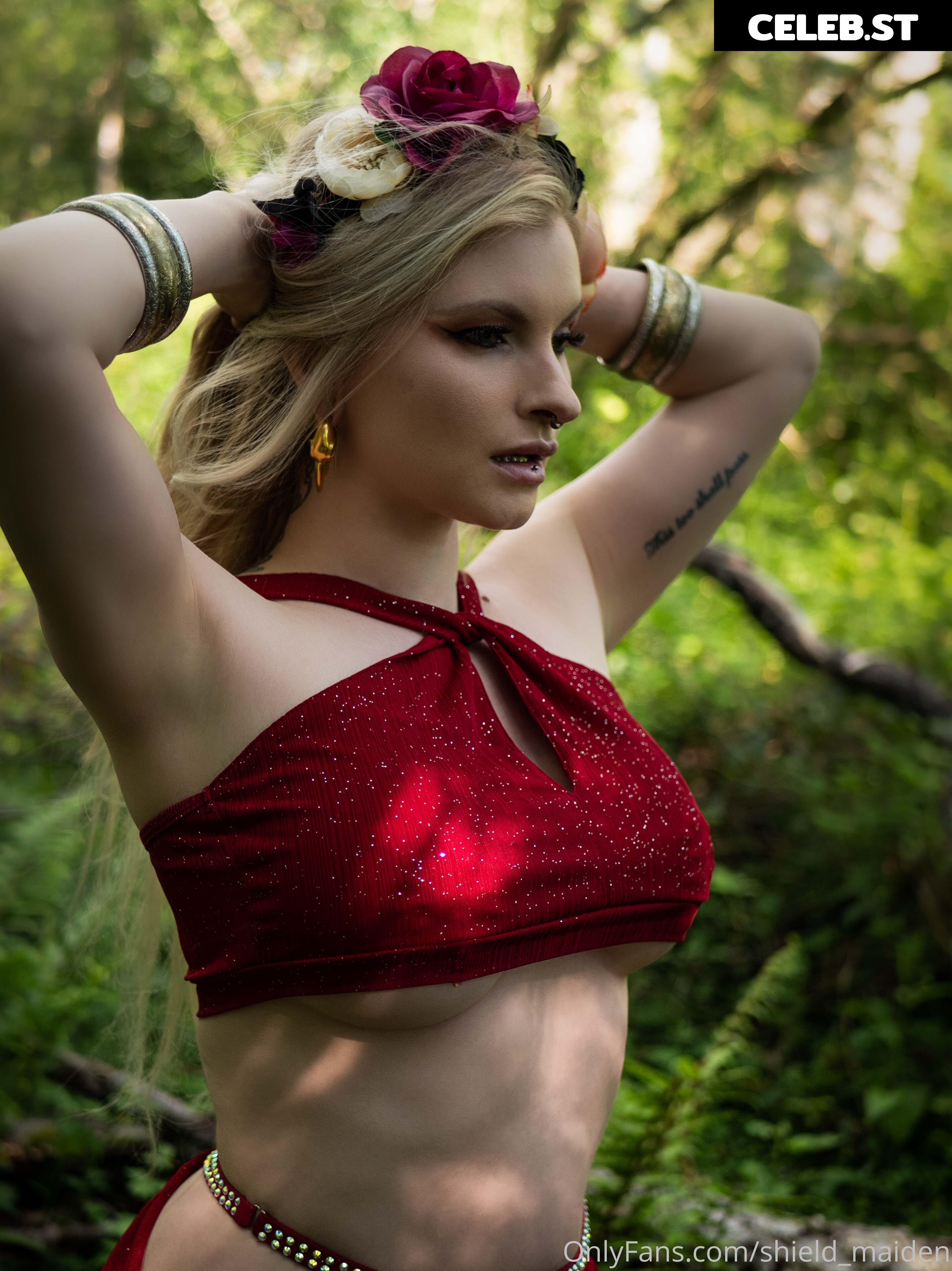 shield_maiden Image 349802