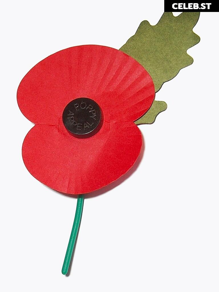 Tihomirova Natalia (only Instagram + Telegram) Image 3485784