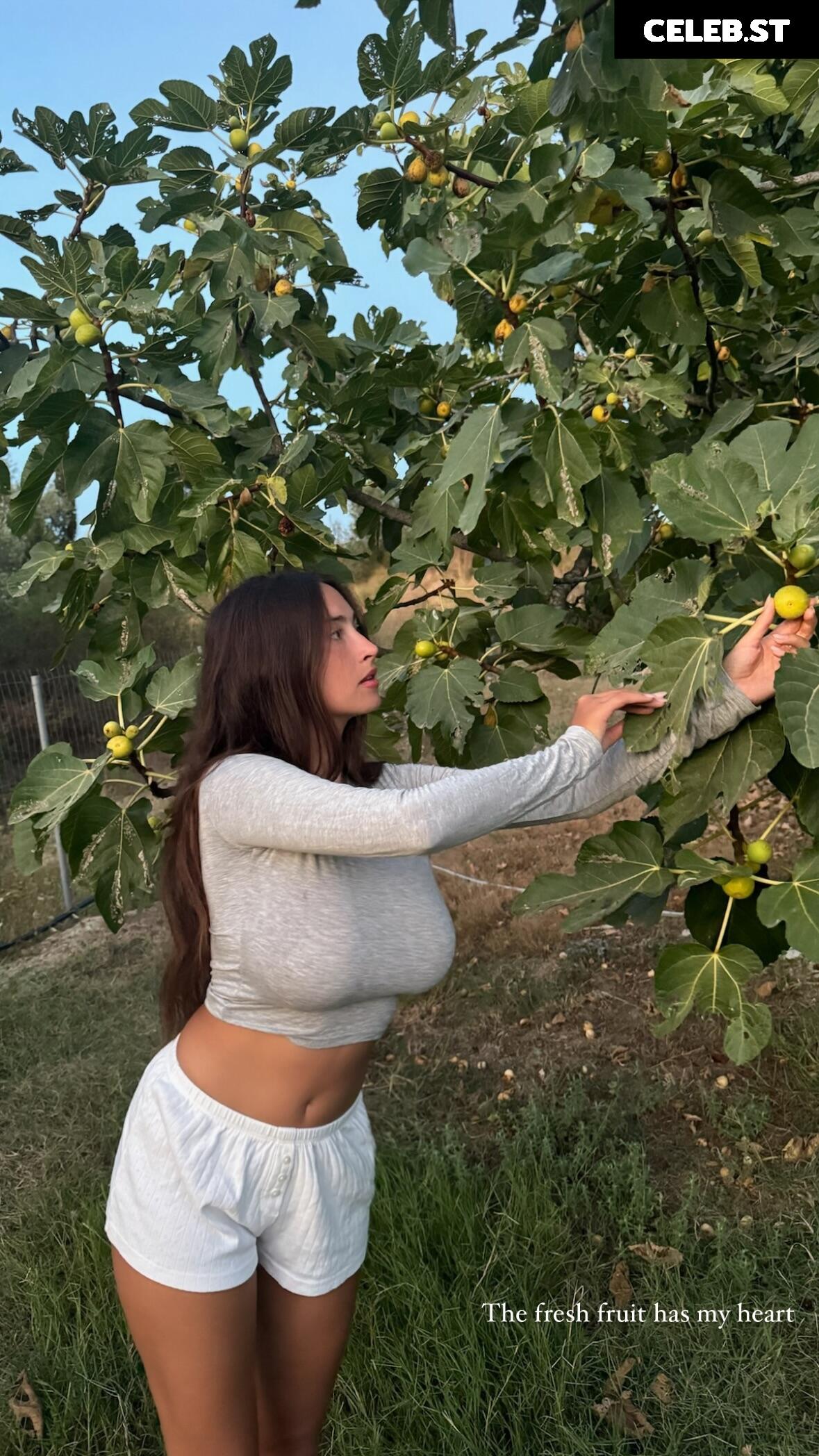 Cecilia Rose (Cece Rose) Image 3489123