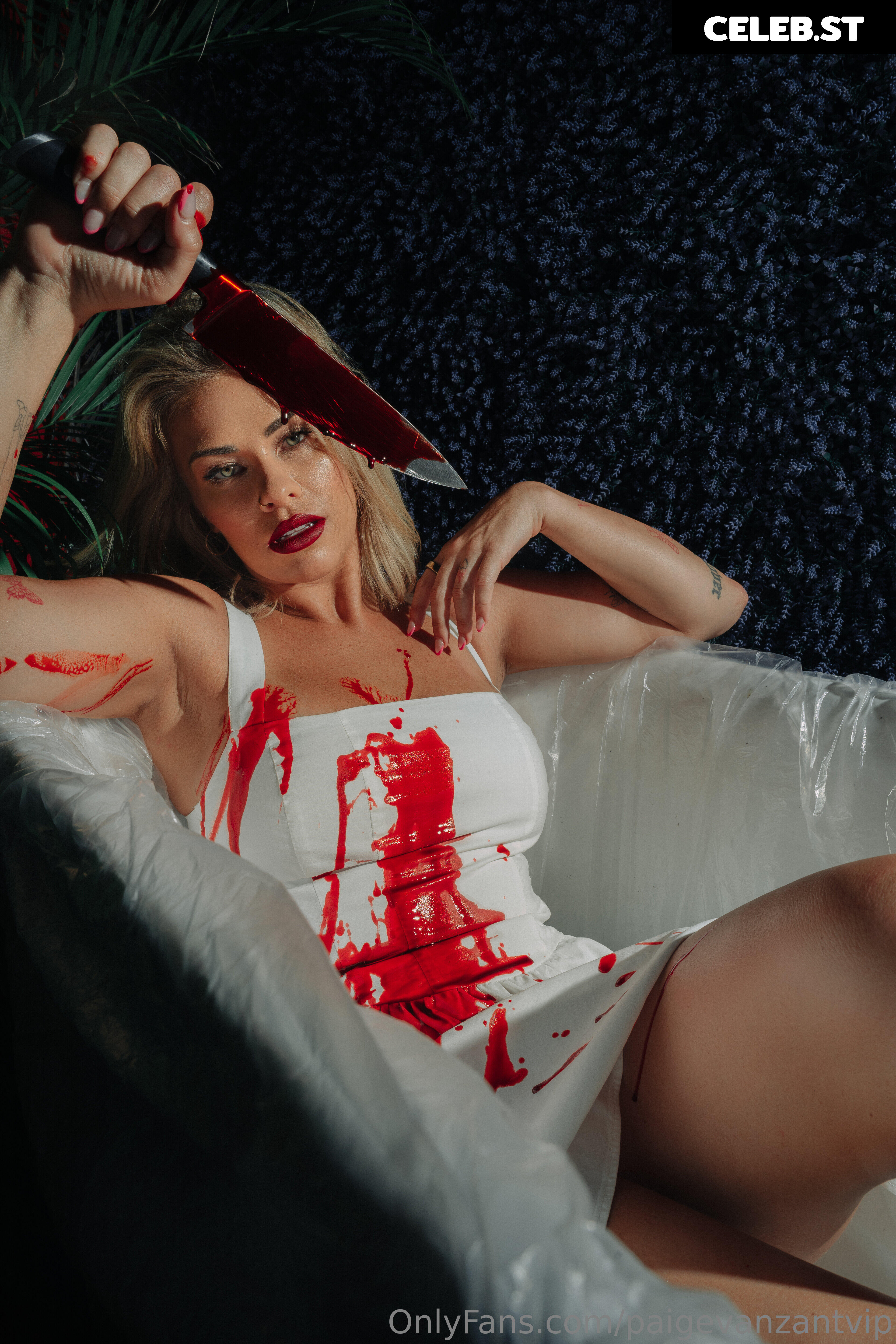 Paige Vanzant 2.0 Image 3471830