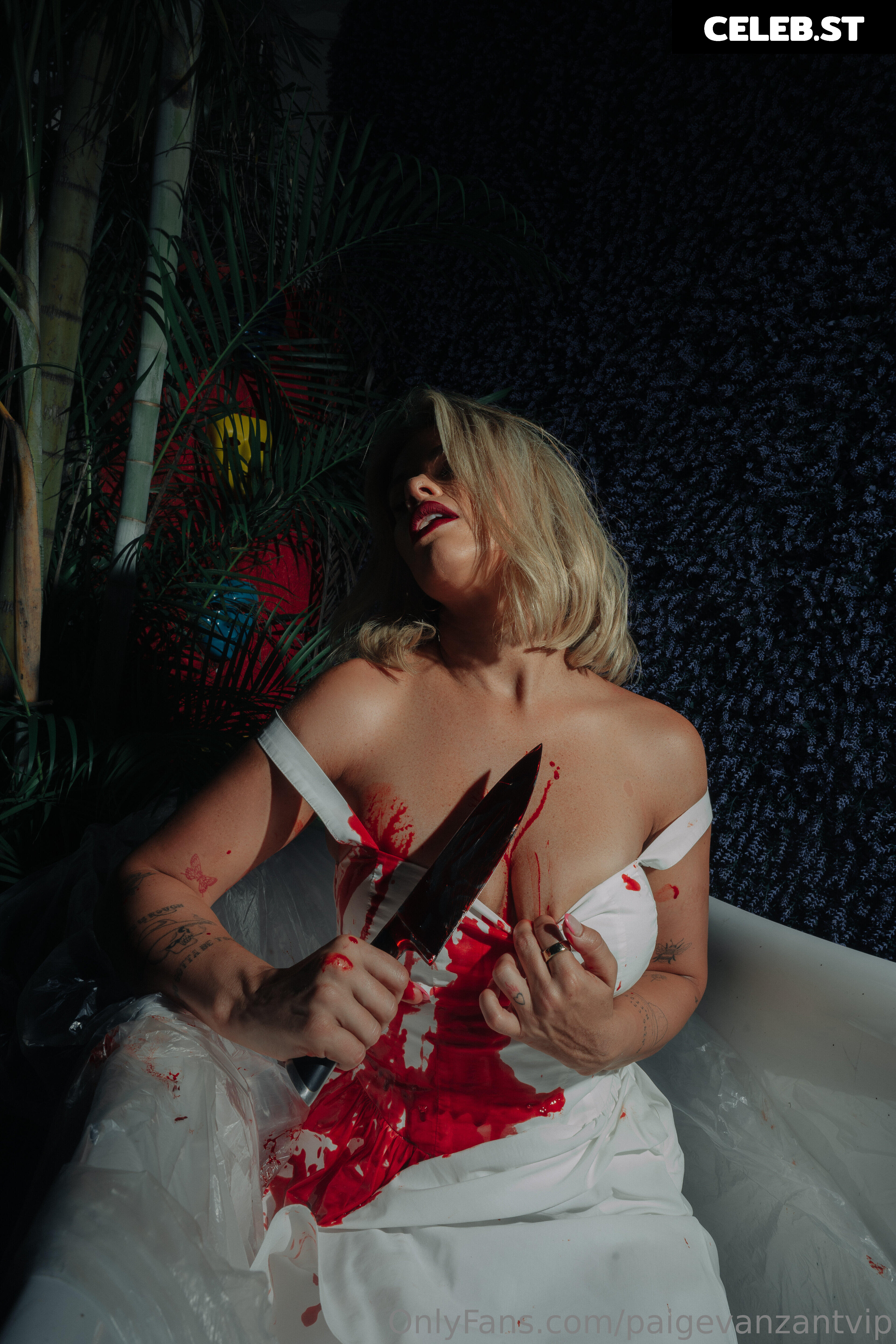 Paige Vanzant 2.0 Image 3471827