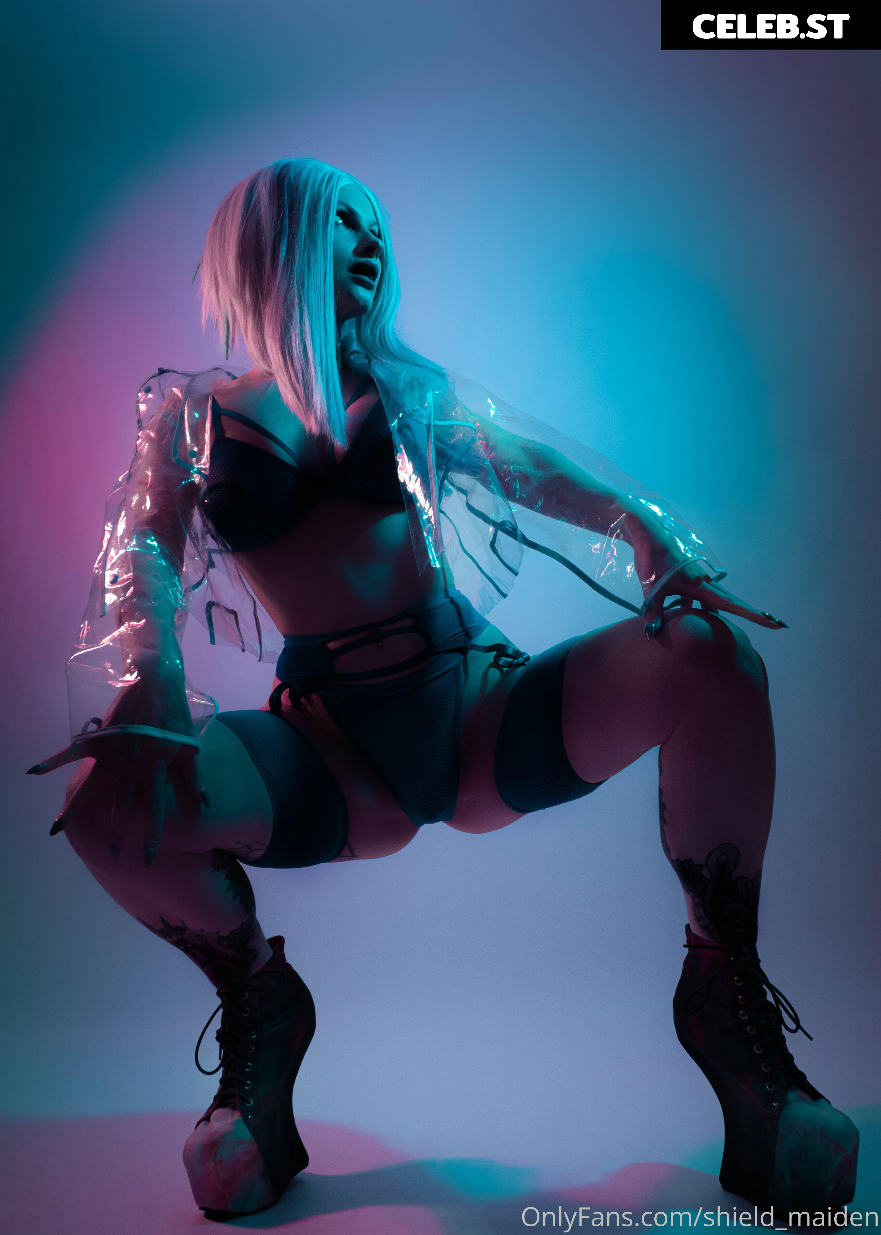 shield_maiden Image 347116