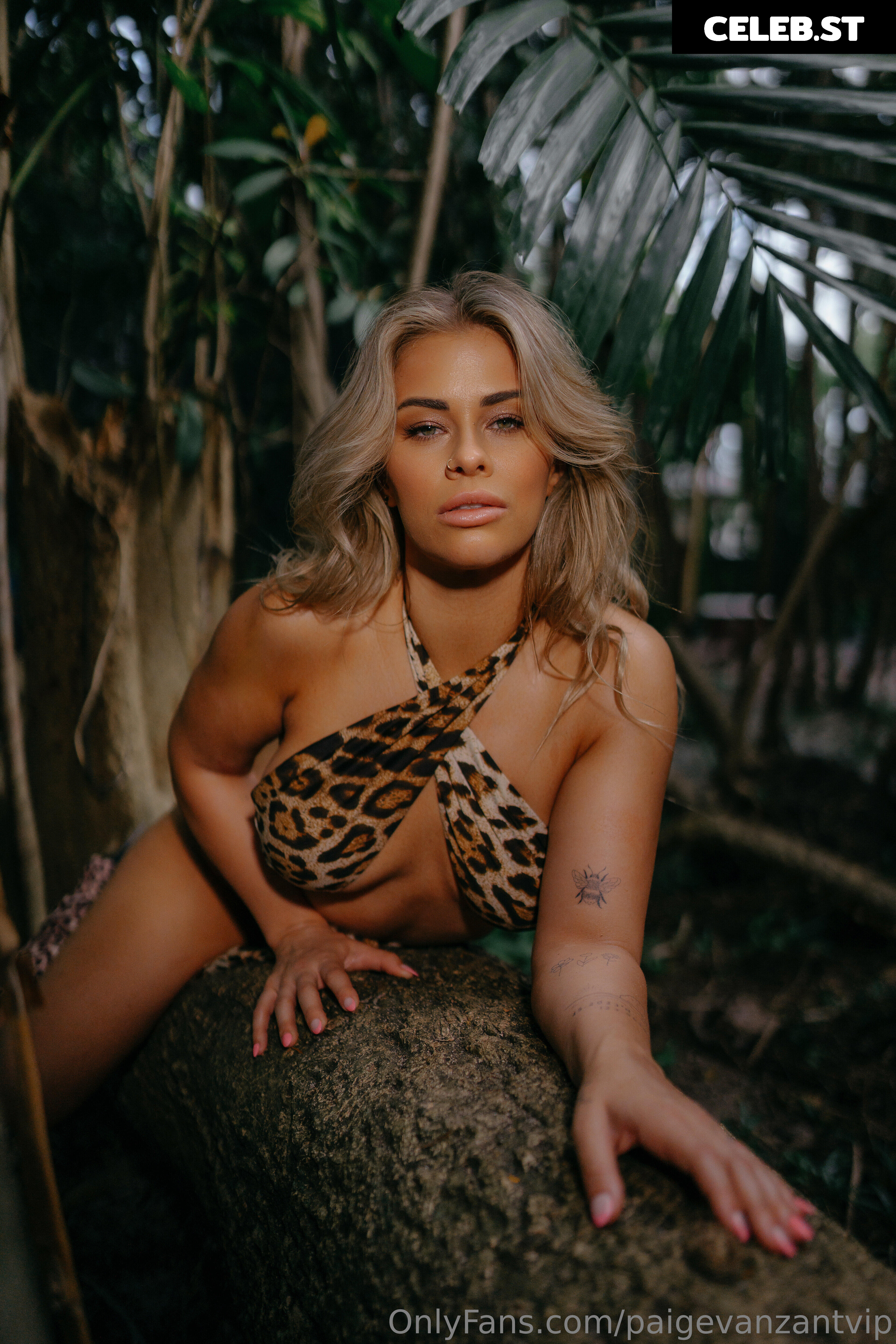 Paige Vanzant 2.0 Image 3470626