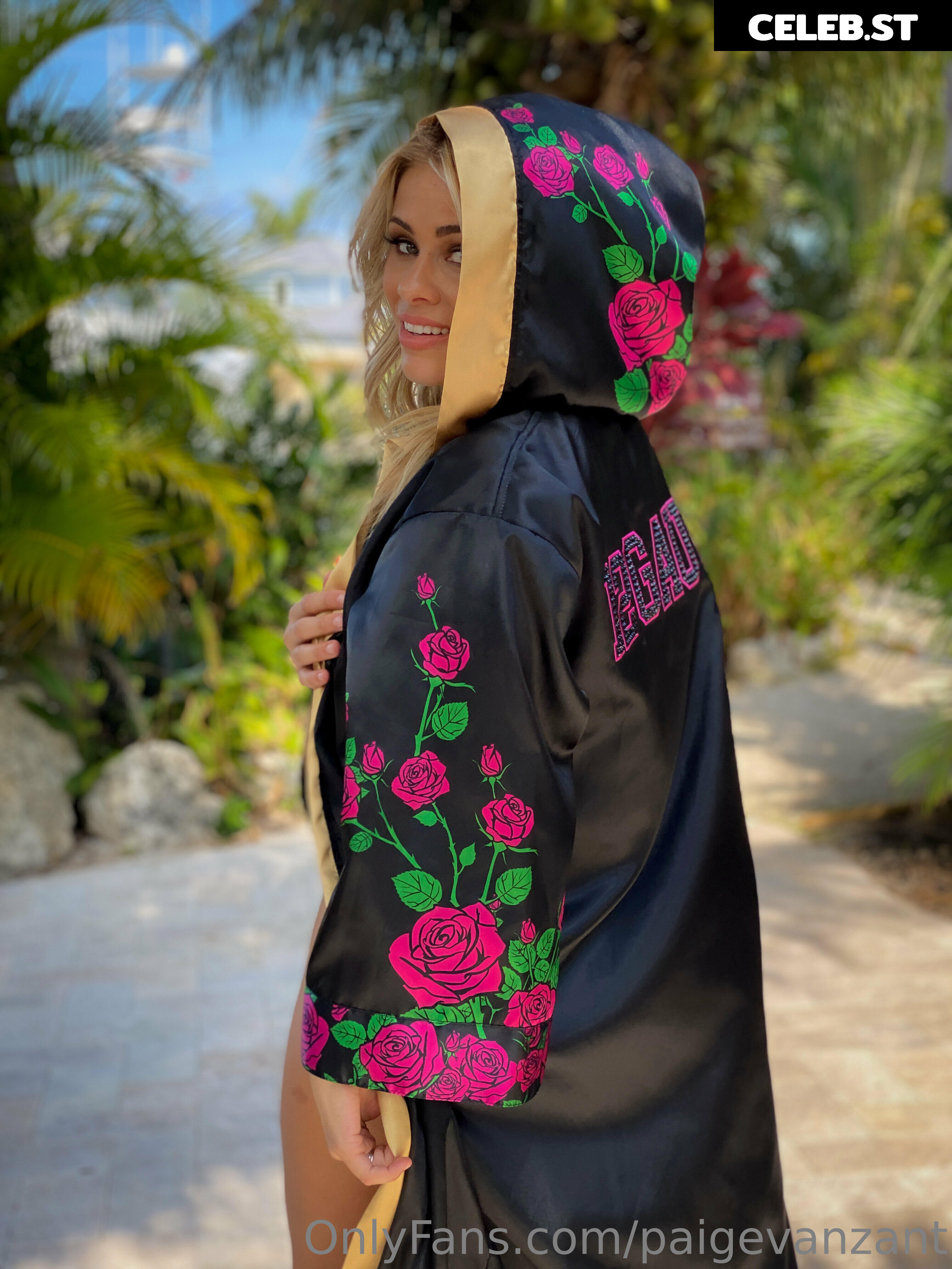 Paige Vanzant 2.0 Image 3466232