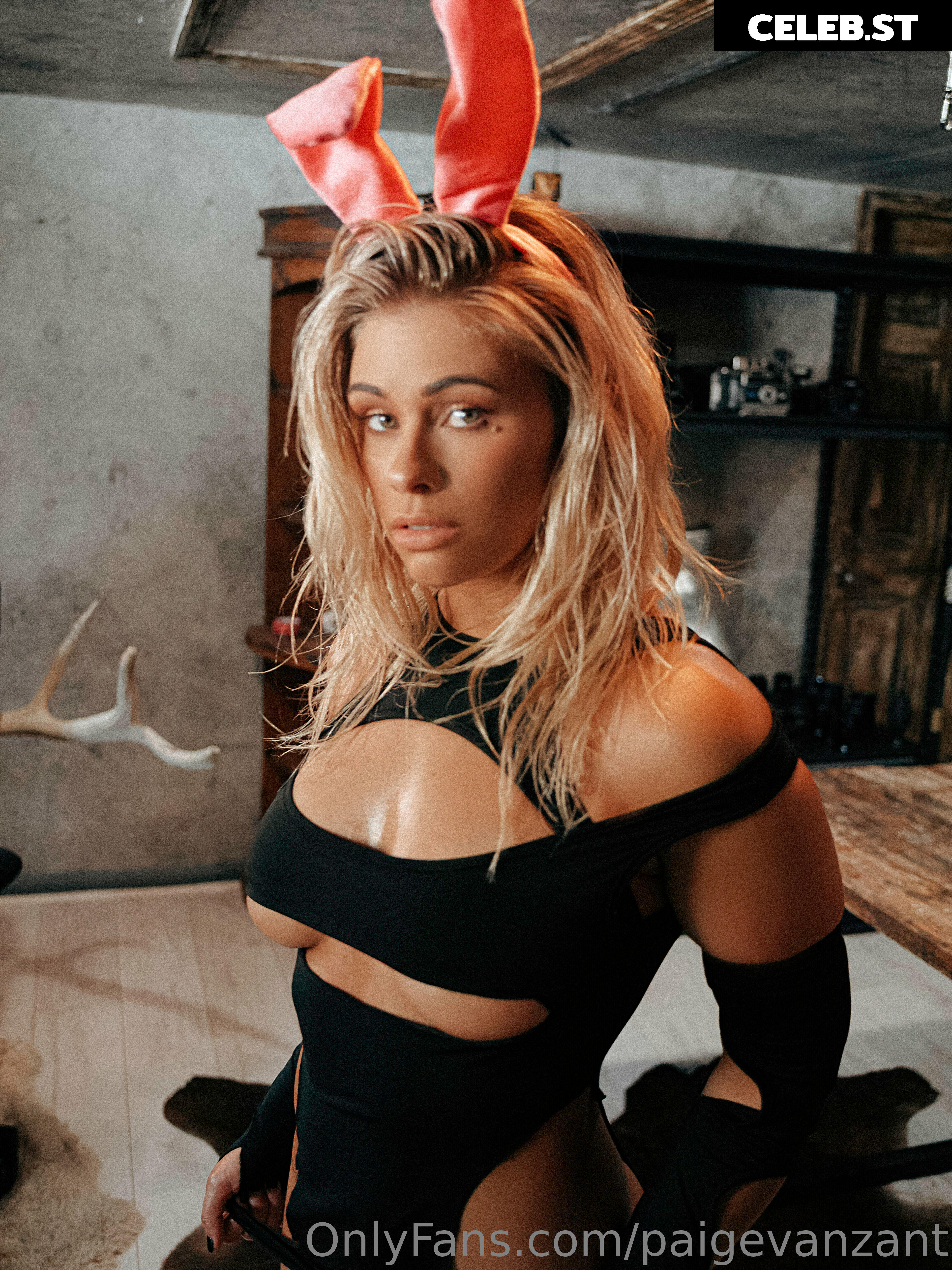 Paige Vanzant 2.0 Image 3460658