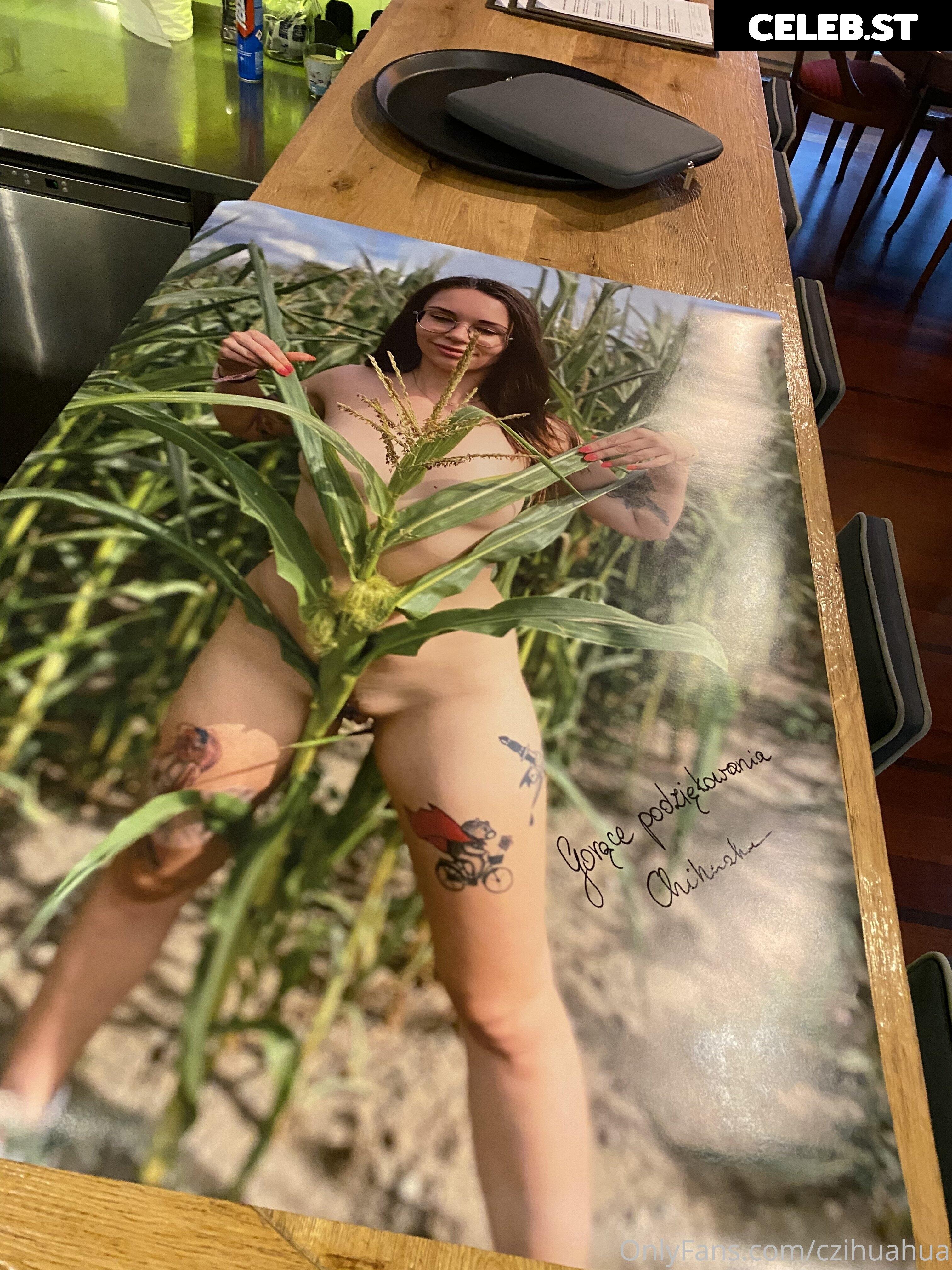 czihuahua Image 343731