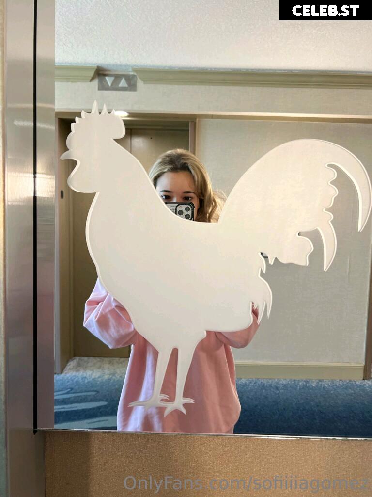 Sofia Gomez / Sofiiiagomez Image 3428712