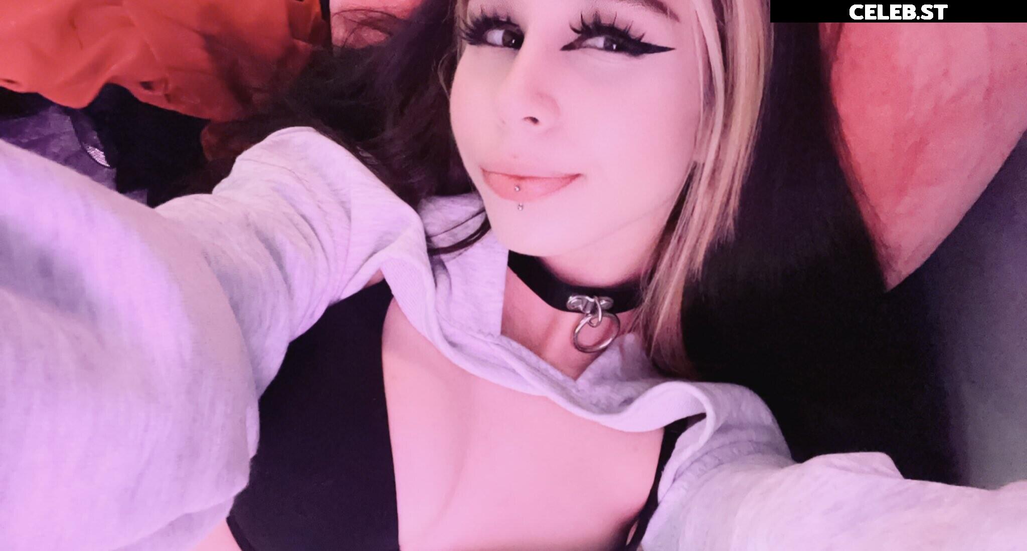 Kiwi Sunset Image 3428617