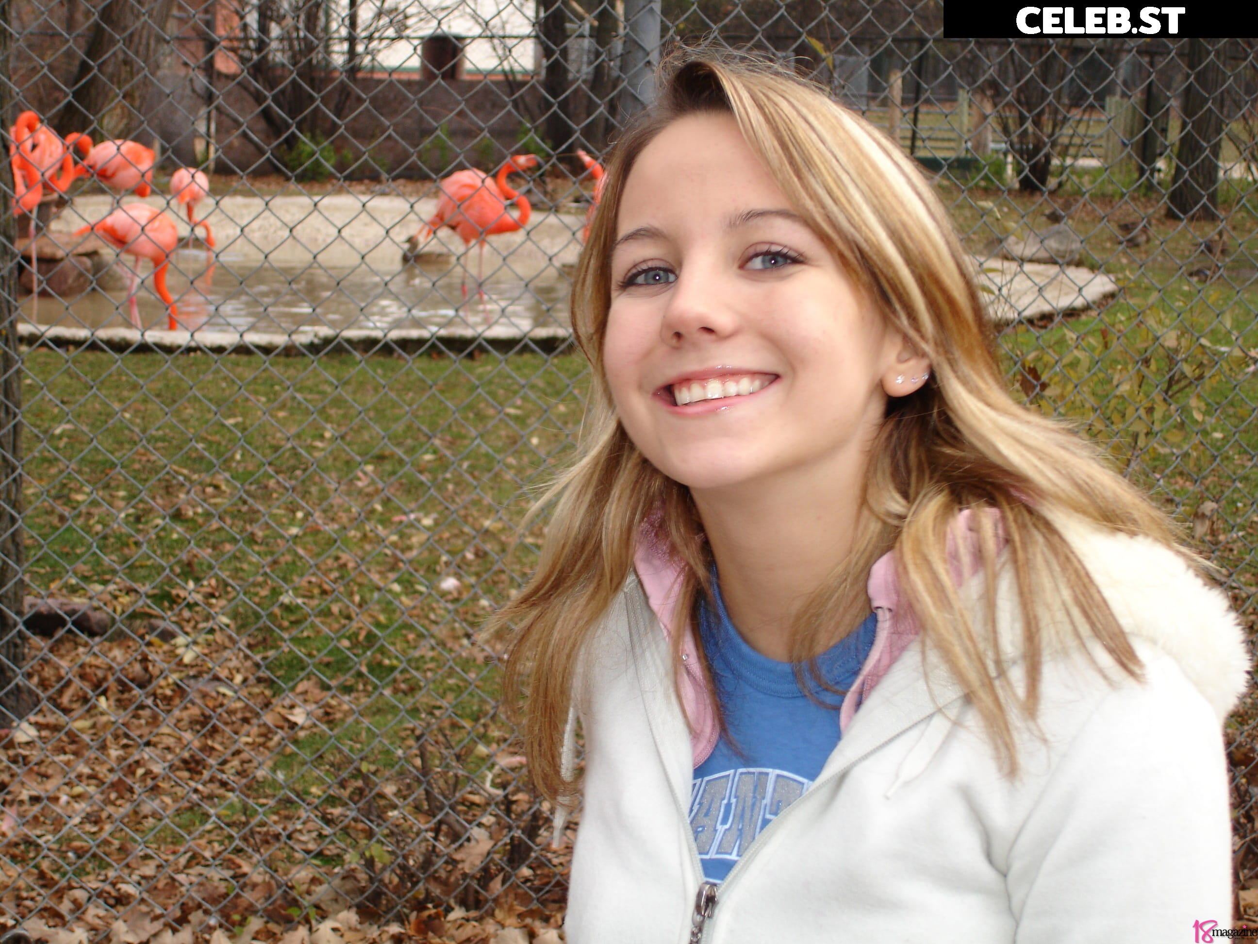Andi Land Image 3415654
