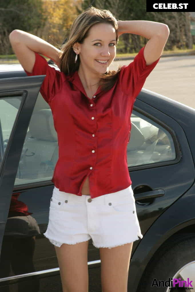 Andi Land Image 3415908