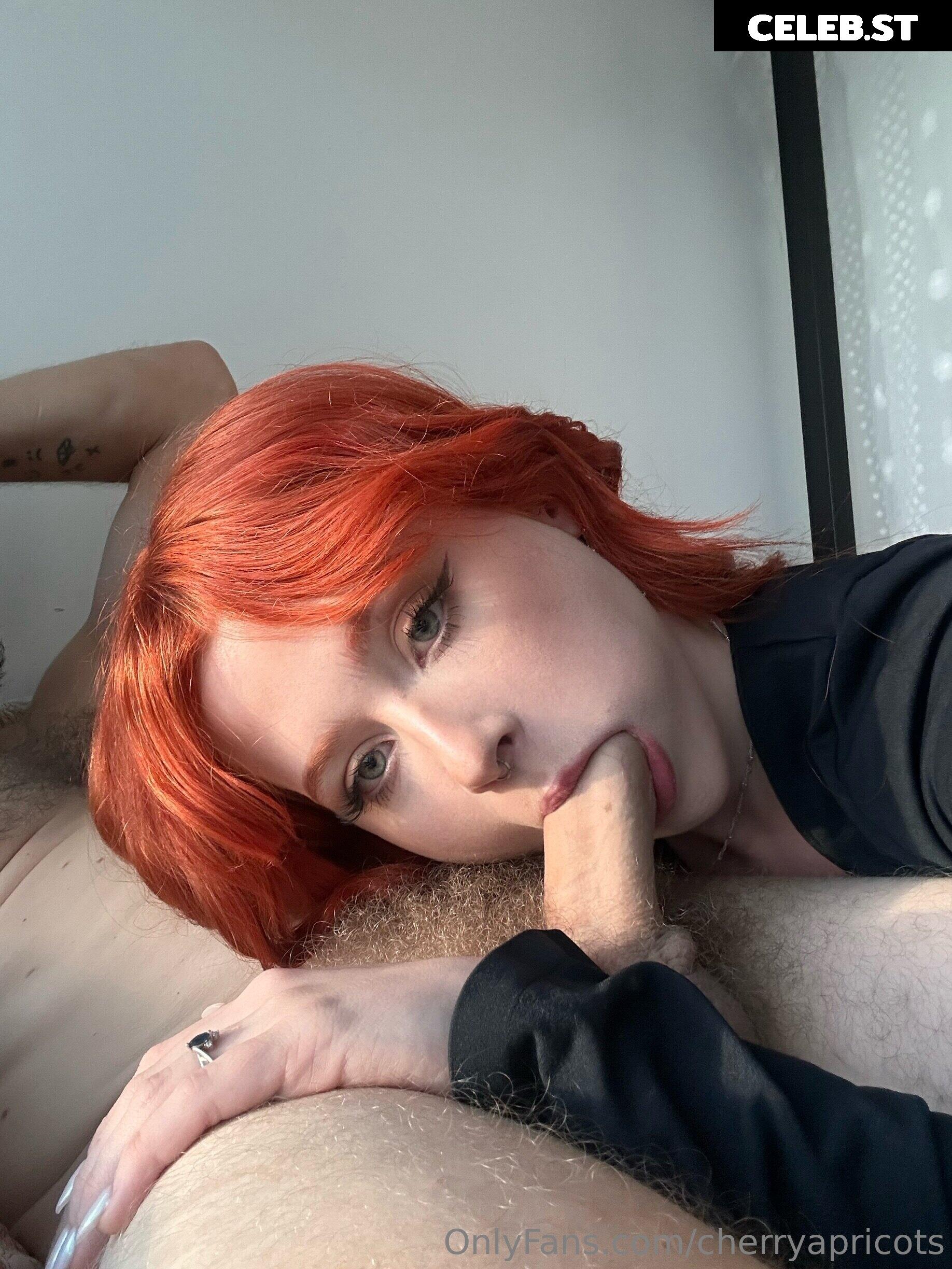 Cherryapricots Image 3402207