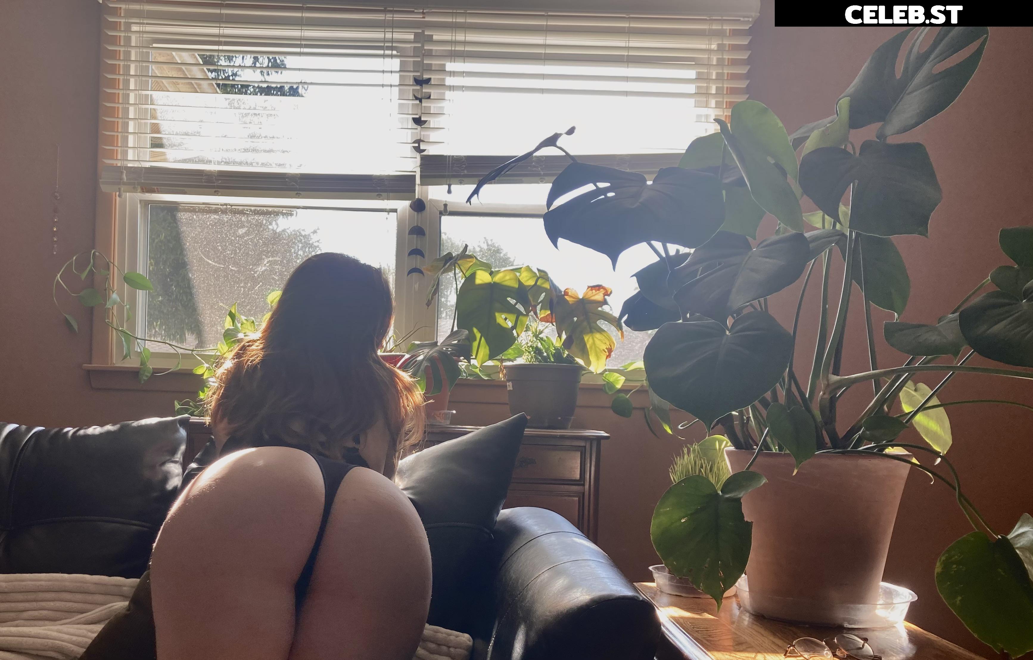 reversetabletopp / reversetabletop Image 3595648