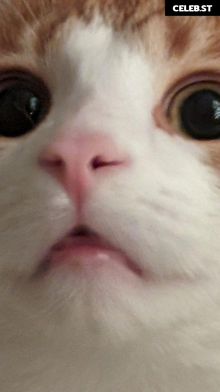 reversetabletopp / reversetabletop Image 3597380