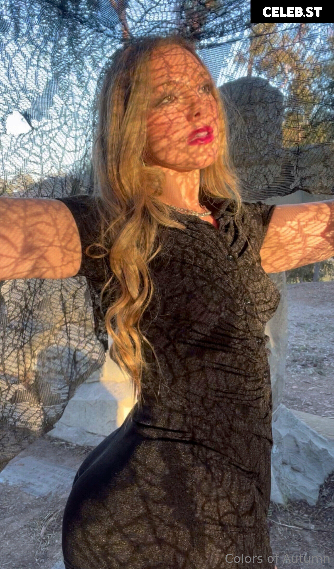 ColorsOfAutumn Image 3592860