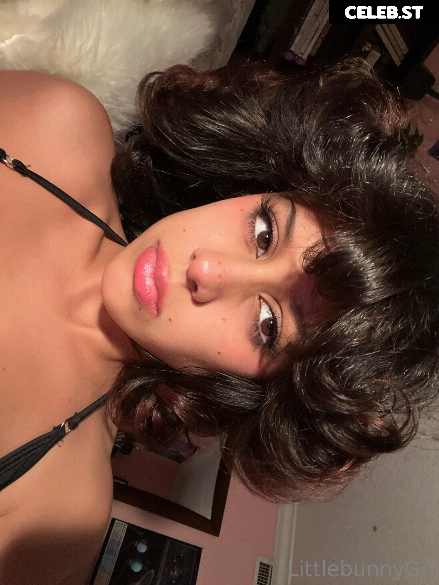 Little Bunny / littlebunnygrl Image 3590259