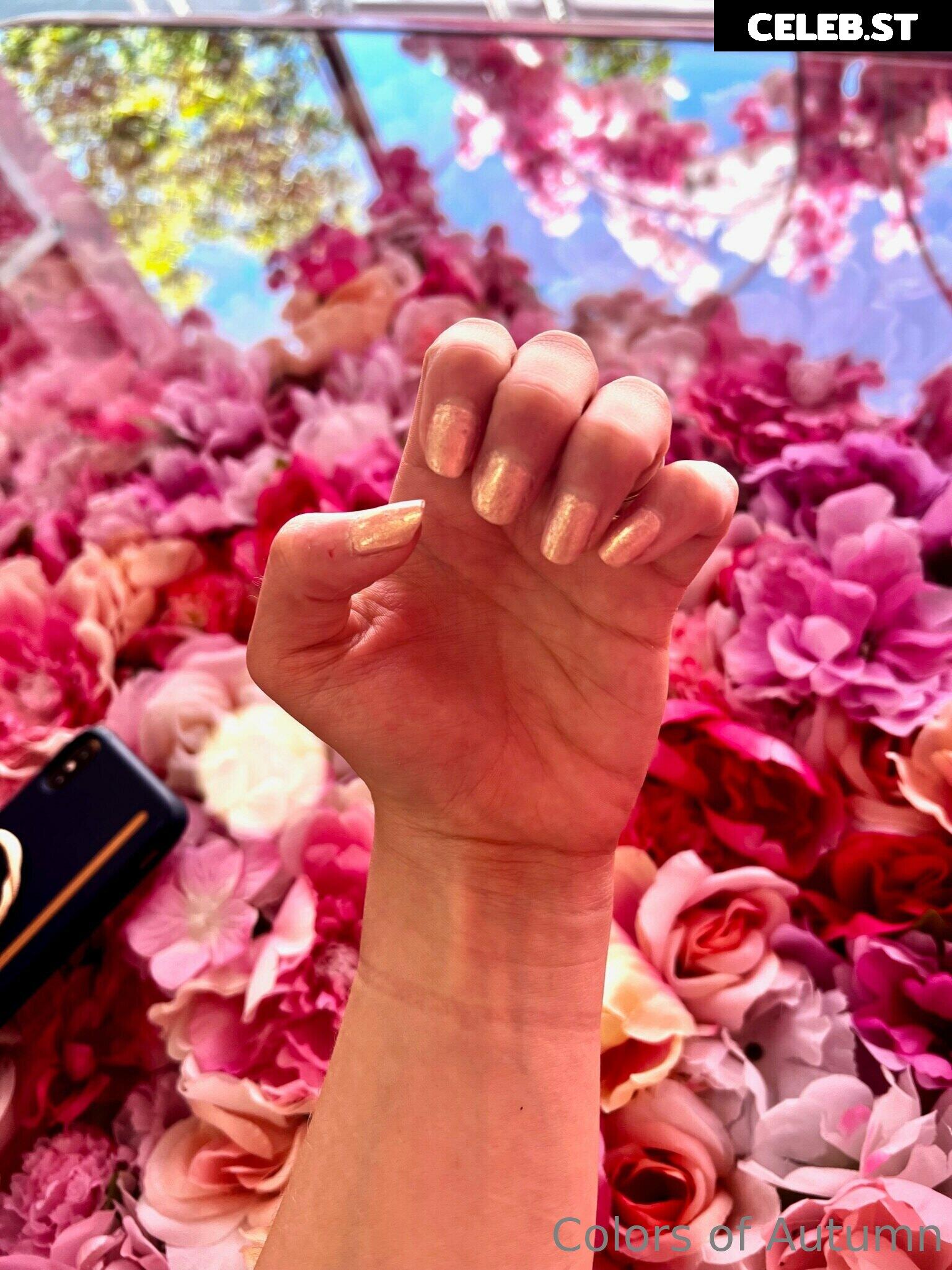 ColorsOfAutumn Image 3586831