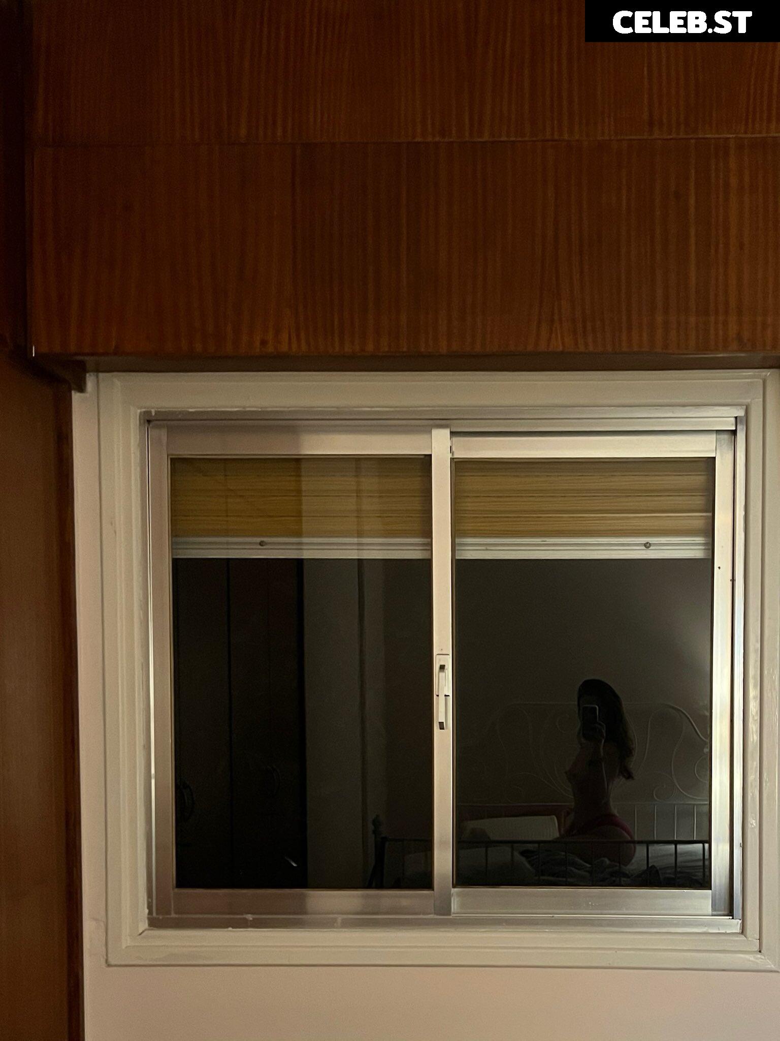 Girth Brooks - HOWDYBlTCH Image 3581104