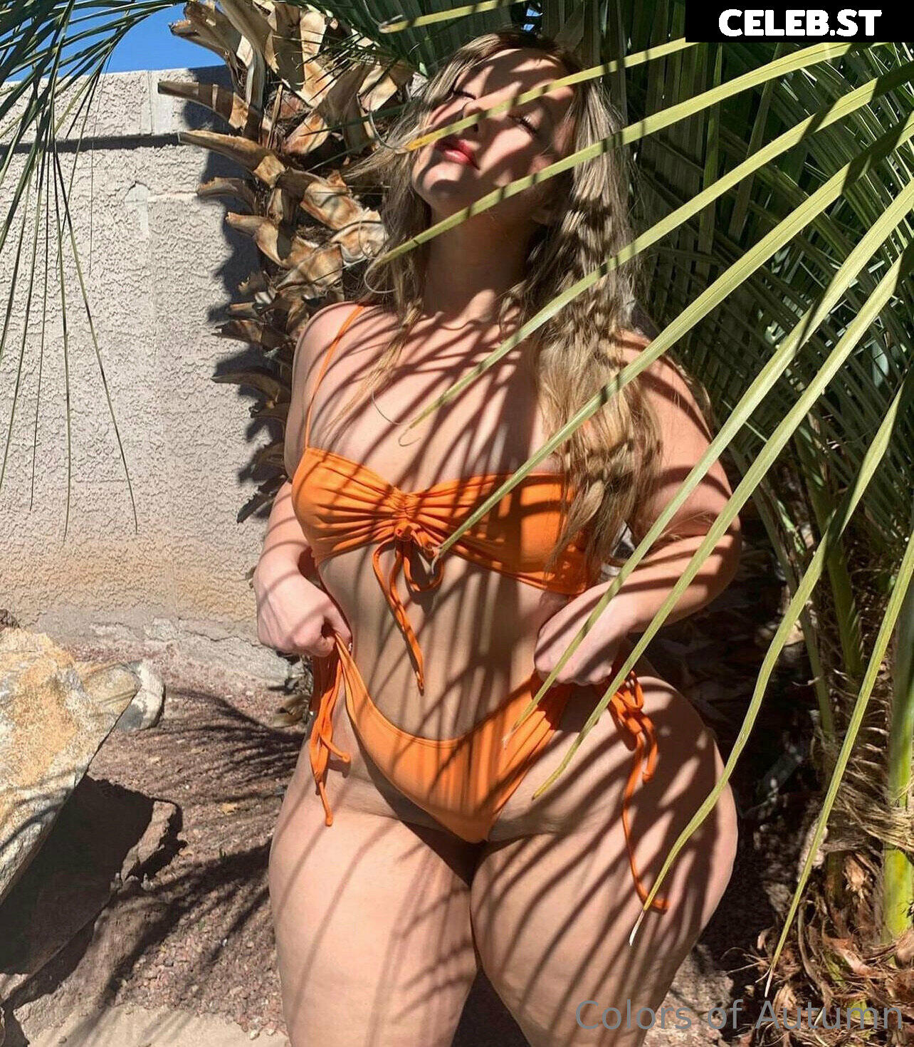 ColorsOfAutumn Image 3588094