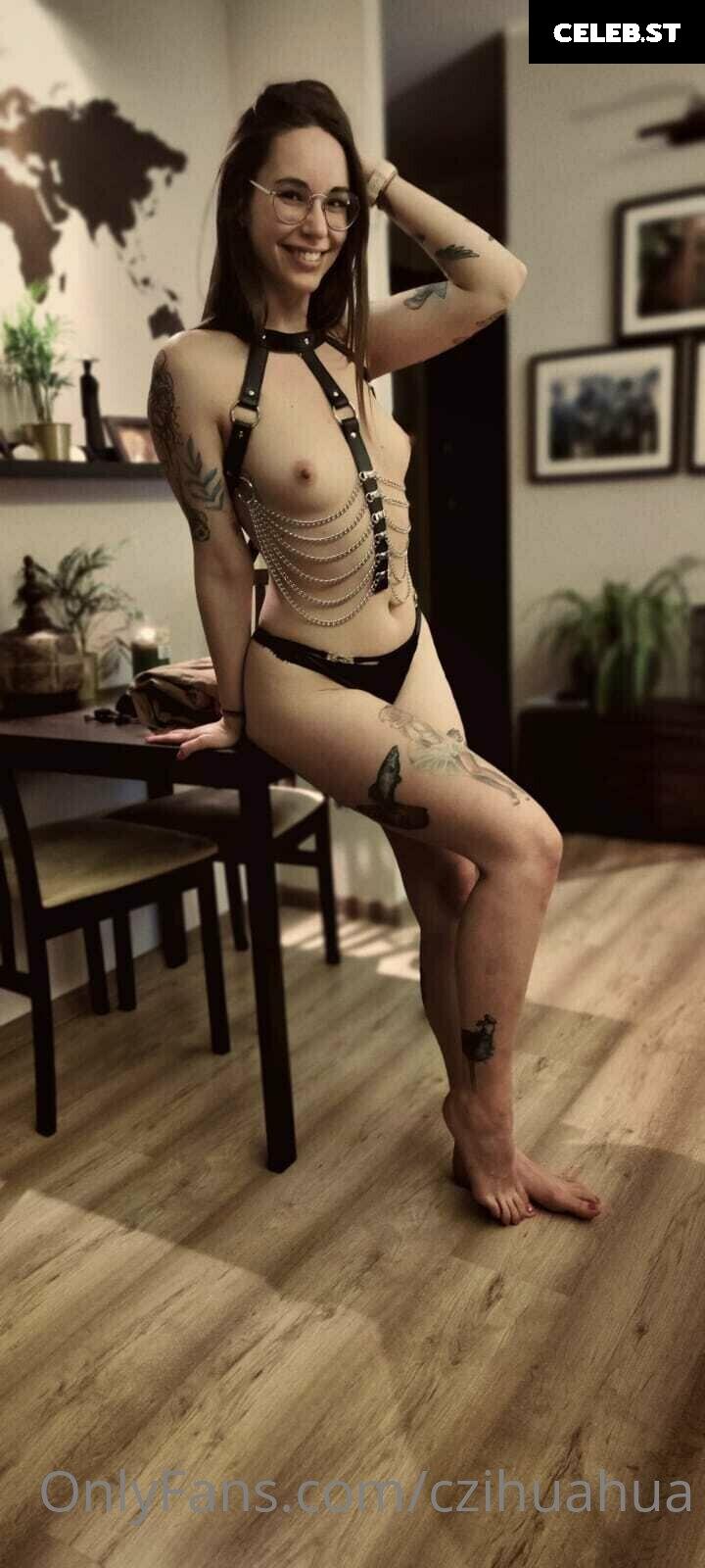 czihuahua Image 357293