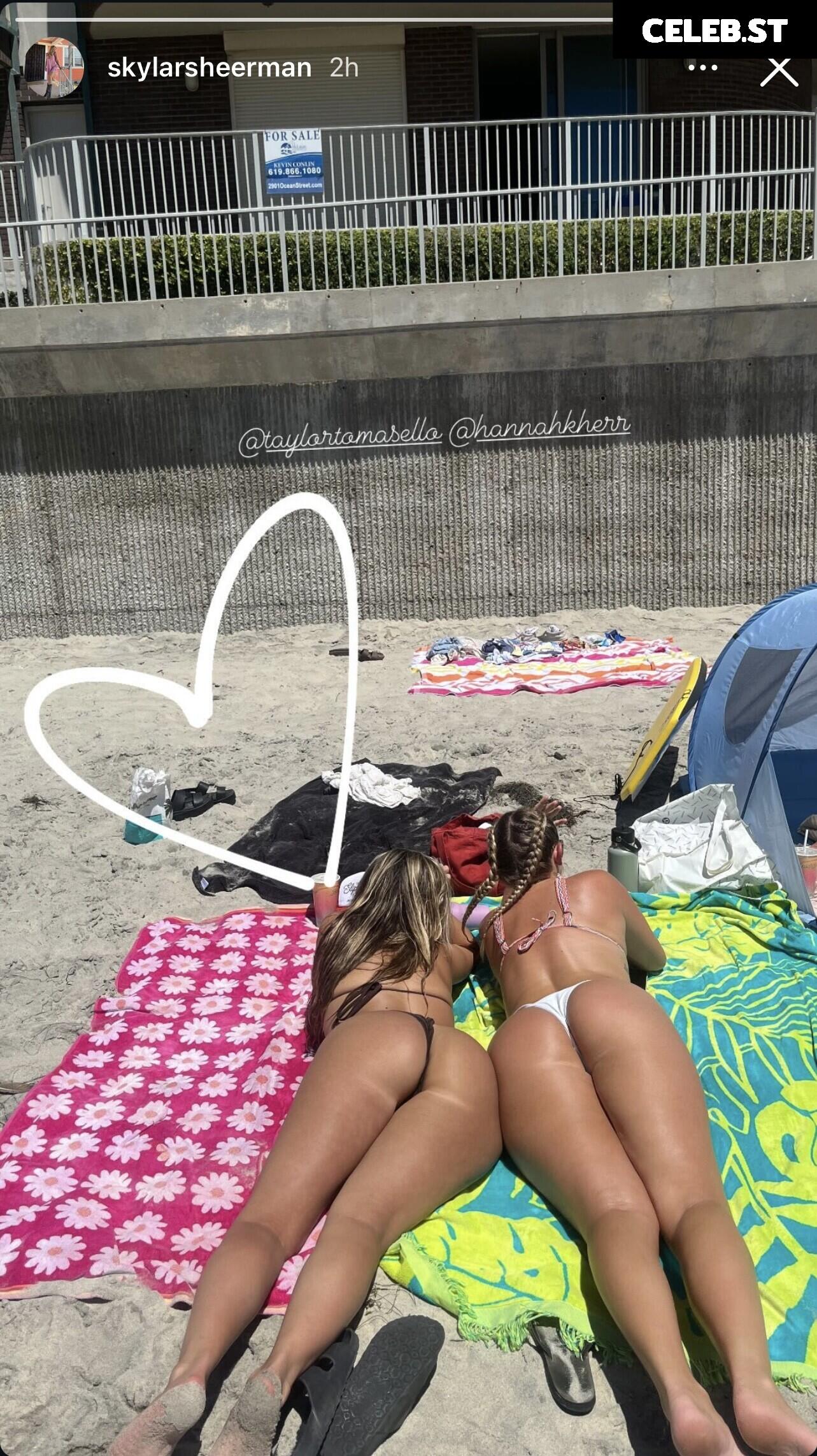 taylortomasello/queentaytayy Image 3573849