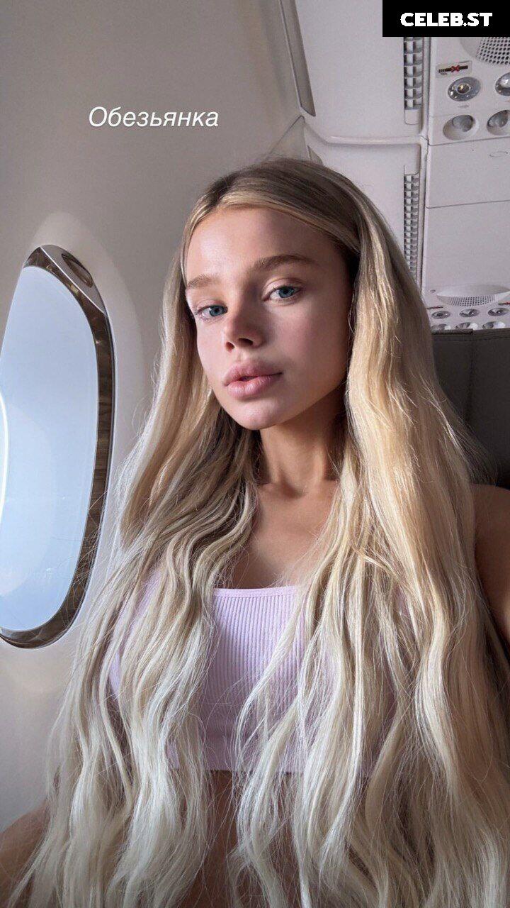 Zolotovaver_vero Image 3579865