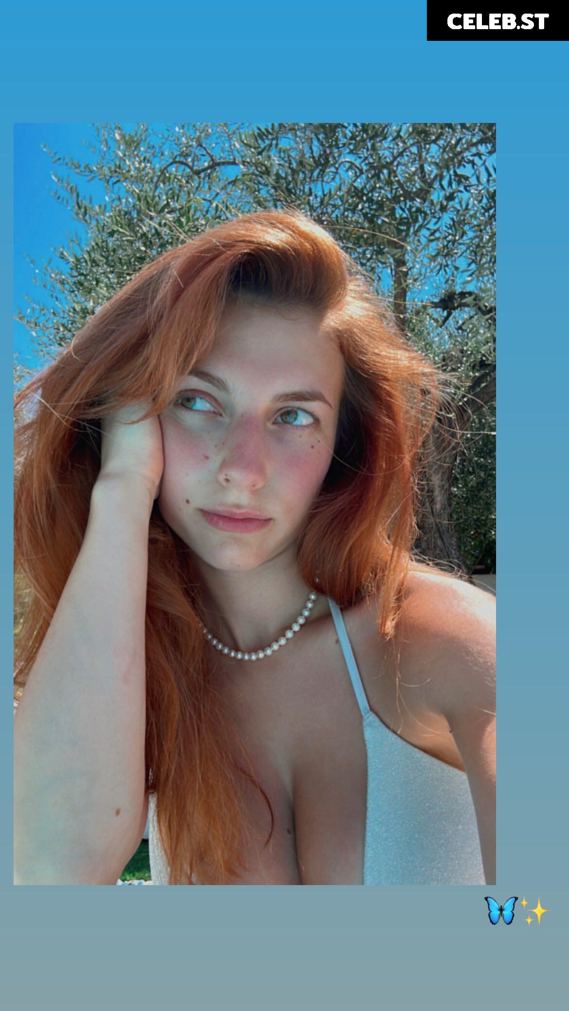 alidigia Image 3561807