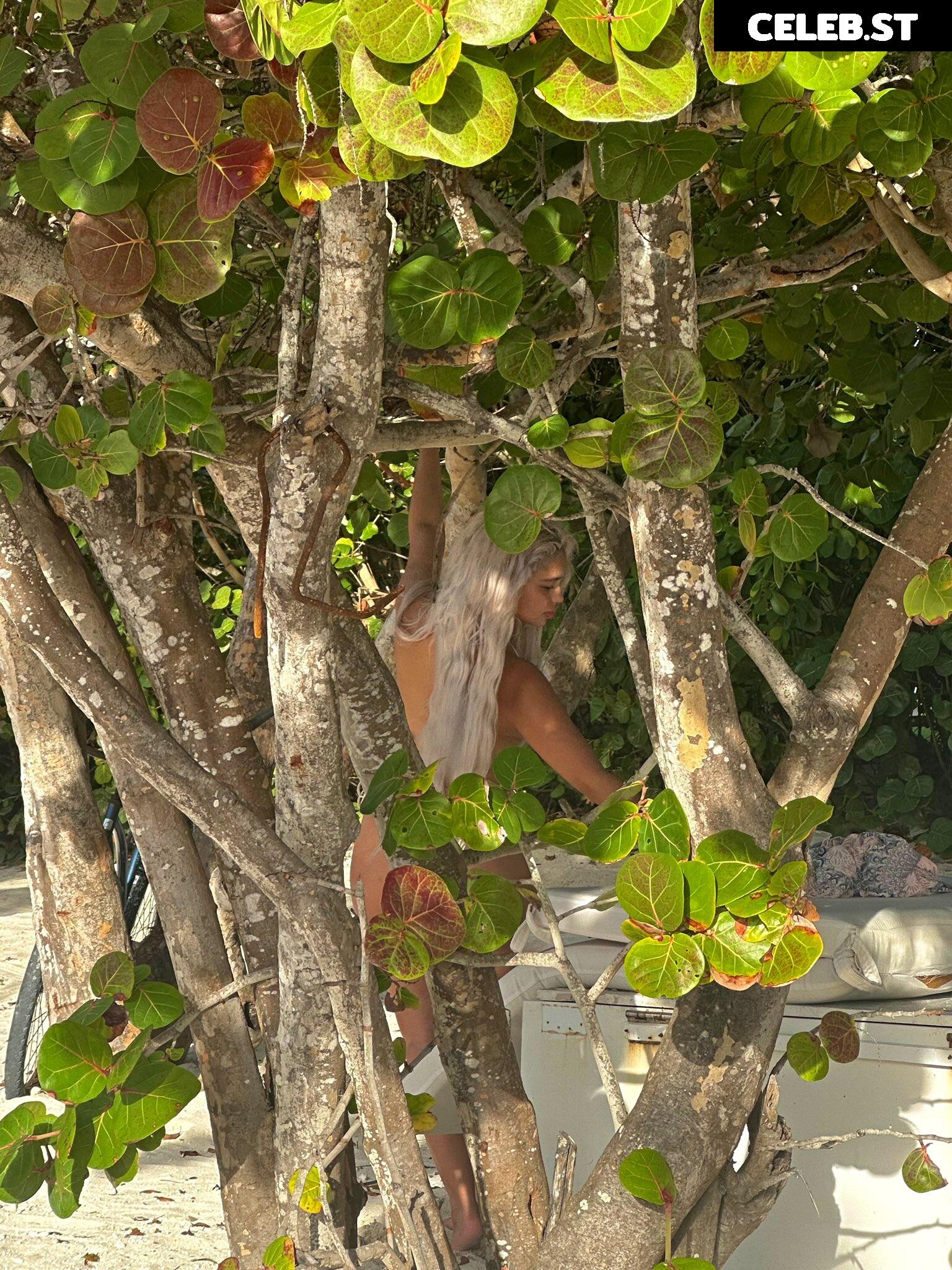 Sab Zada / Pasabist Image 3560796