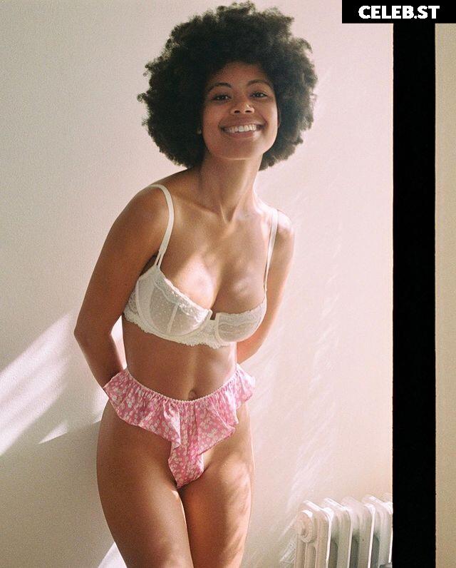 Ned Bird Image 3568481