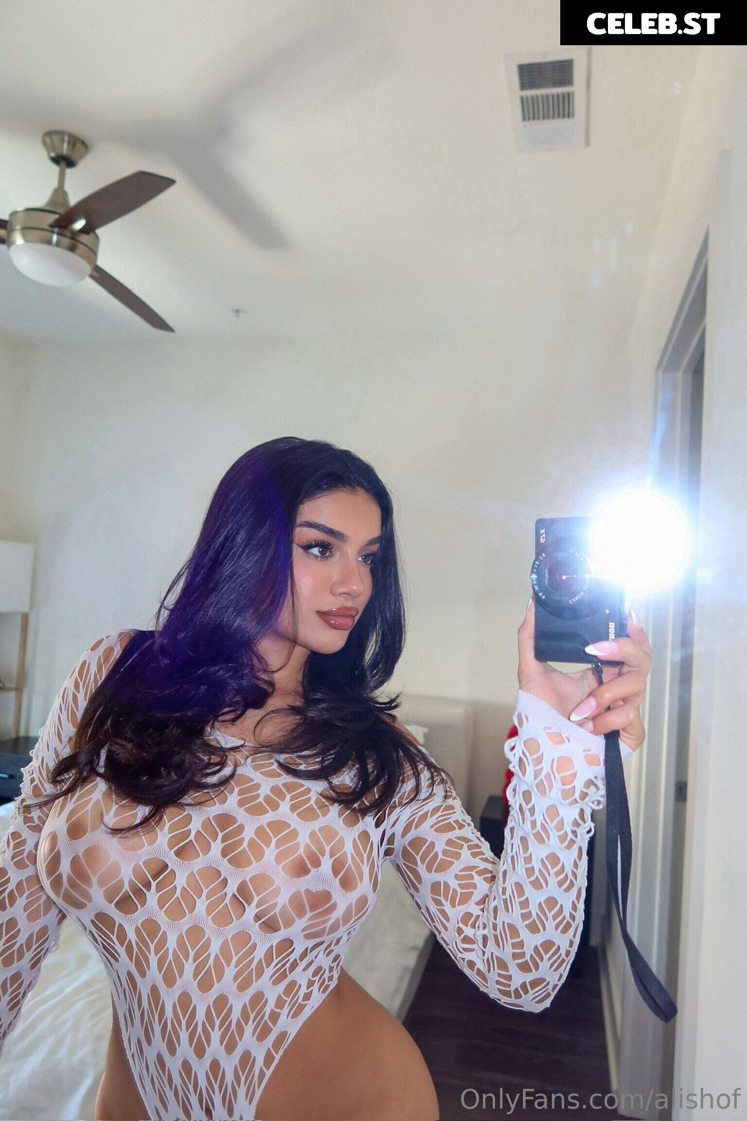 Alishbasheikh Image 3555084