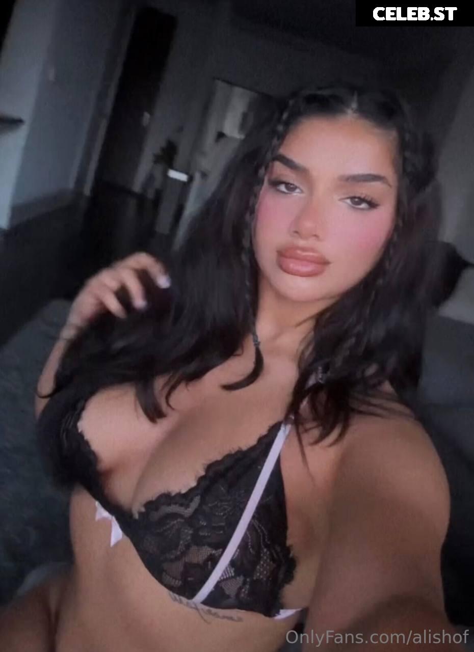 Alishbasheikh Image 3555324