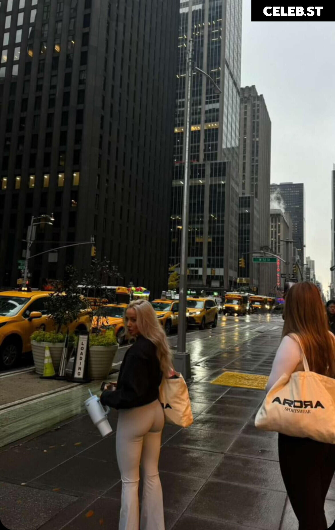 Brynhildurgunnlaugs Image 3545907