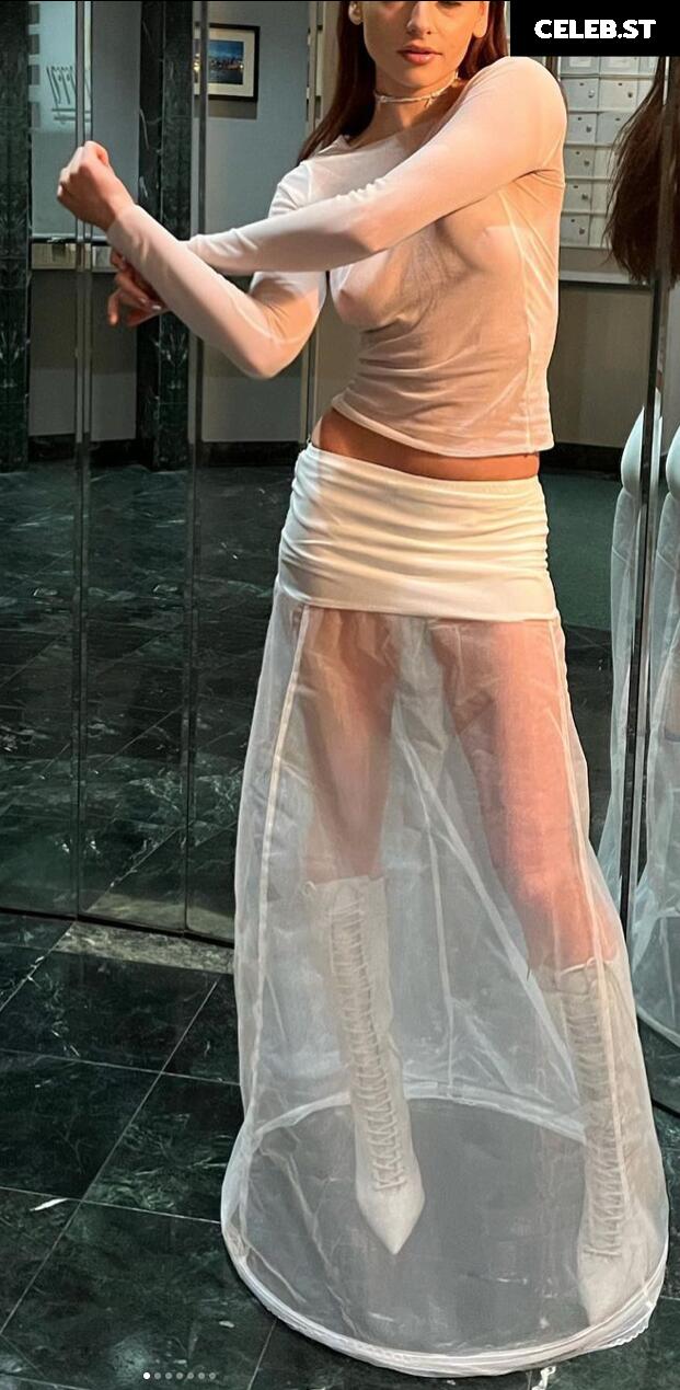 Madison Wild Image 3541590