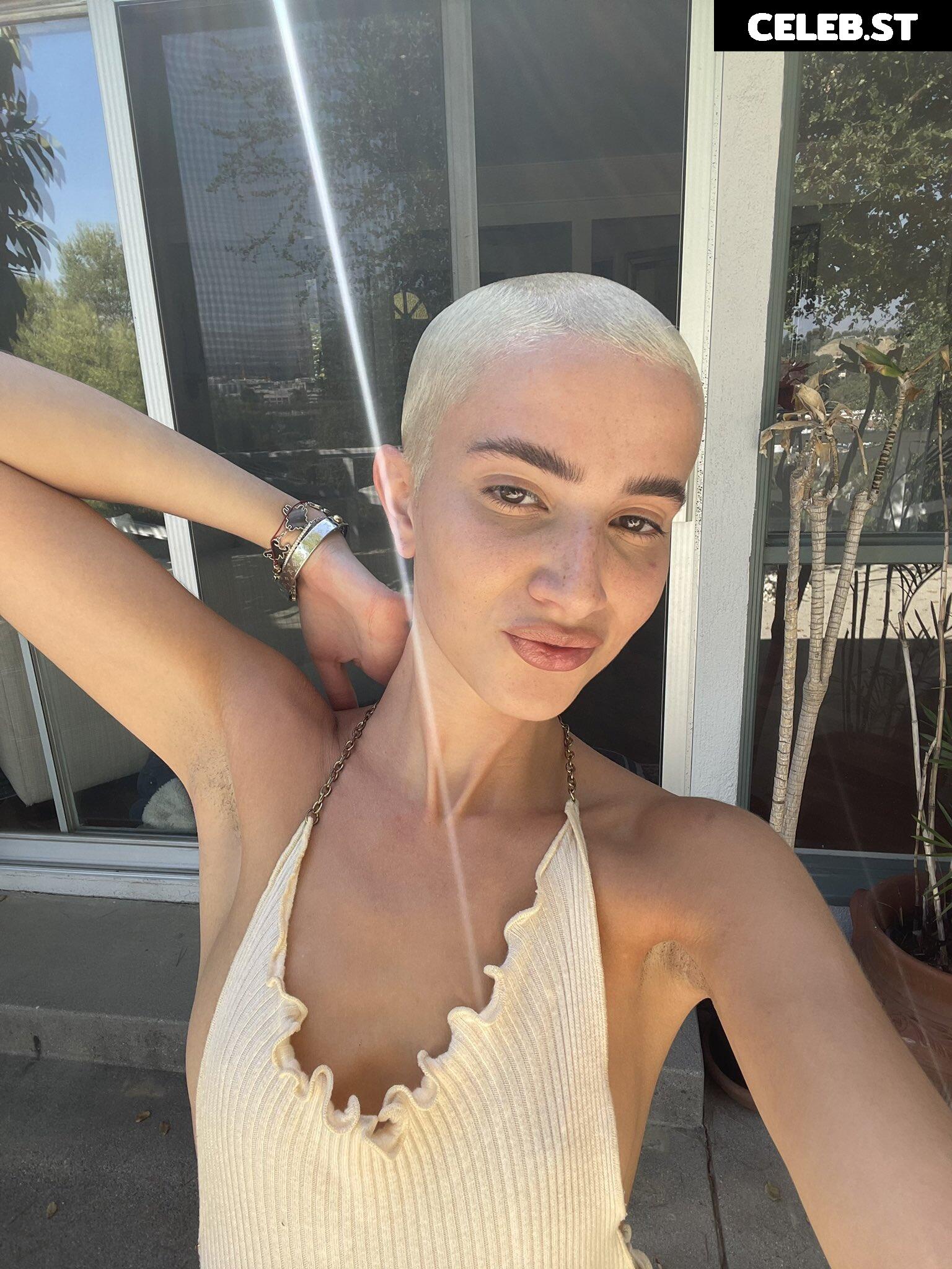 Daisy Delancey Image 3541451